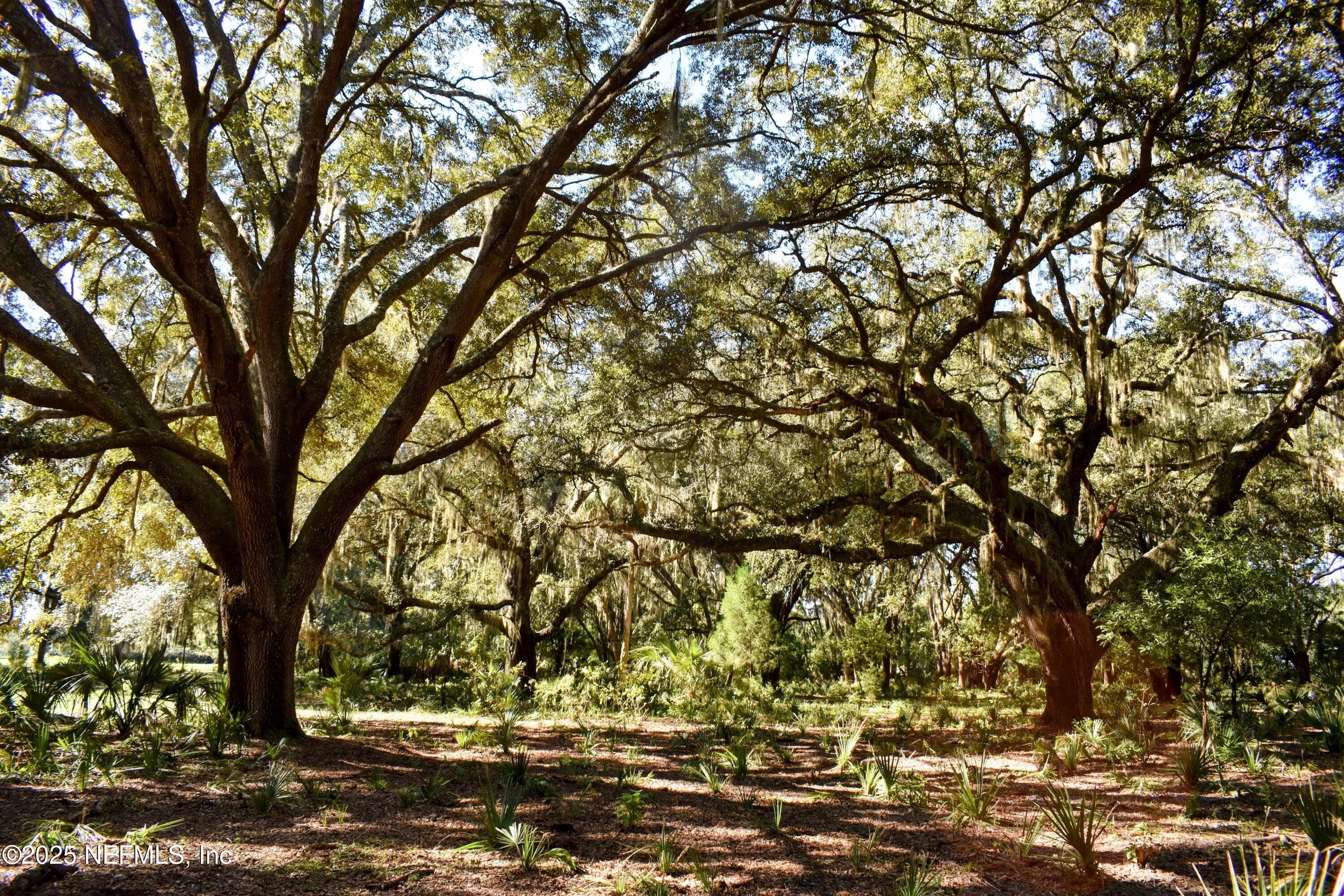 Photo 34 of 00 W PENIEL Road, Palatka, FL 32177
