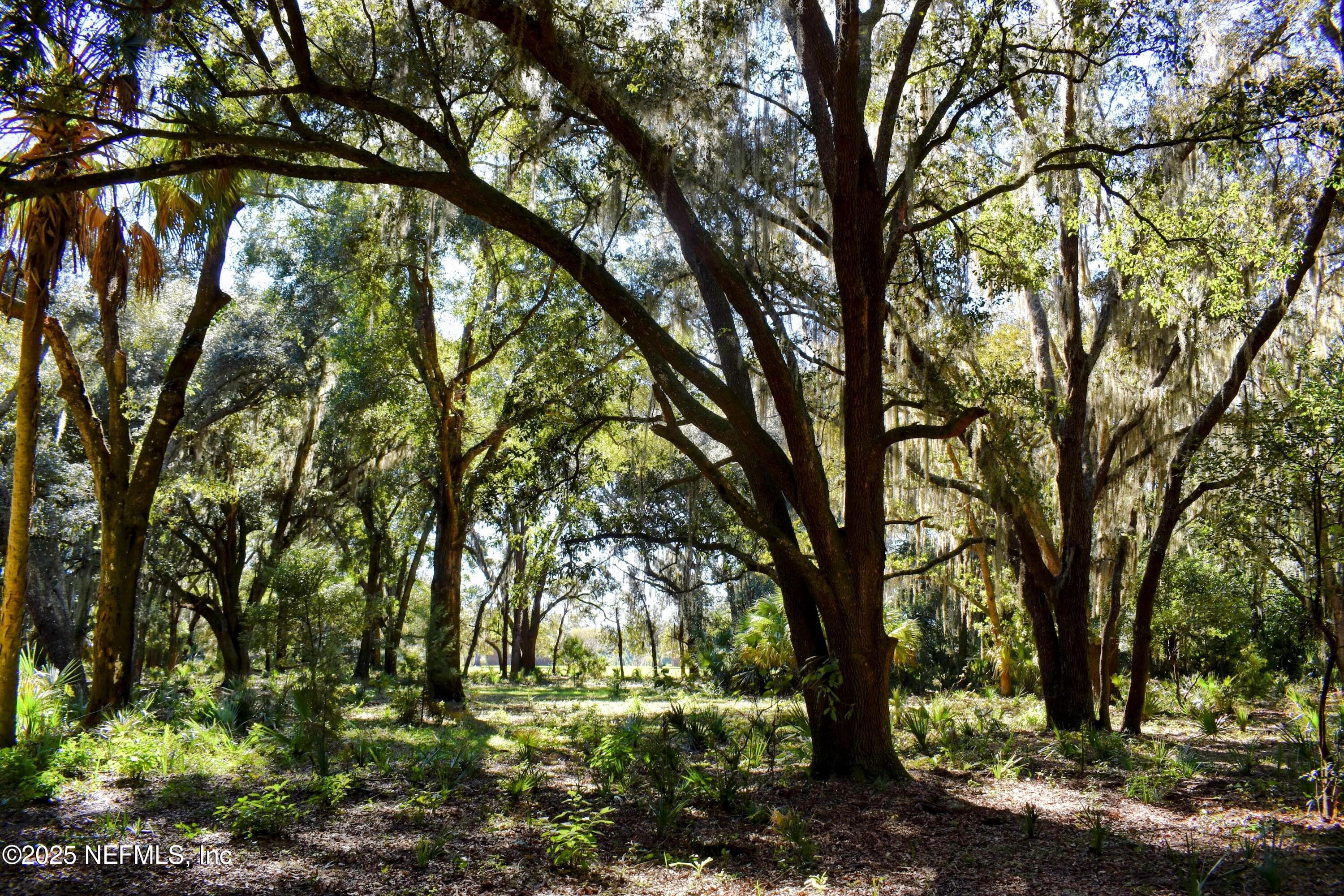 Photo 35 of 00 W PENIEL Road, Palatka, FL 32177