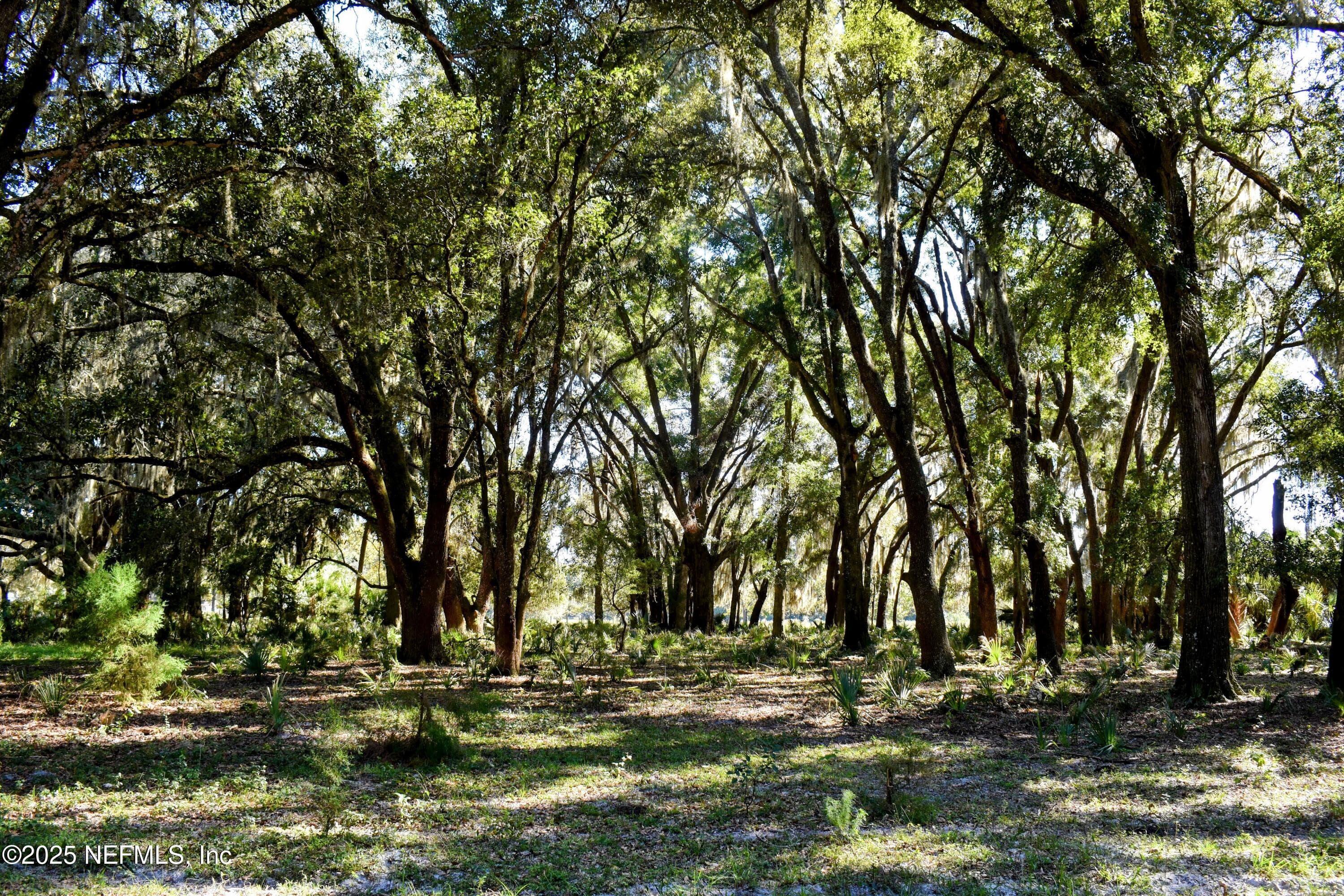 Photo 36 of 00 W PENIEL Road, Palatka, FL 32177