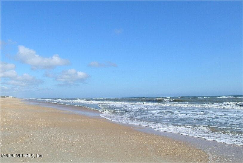 Miles of Pristine Beach for Walking, Running, Swimming, Surfing, Fishing, Napping . . . — 212 SALT GRASS Court, Ponte Vedra Beach, FL 32082