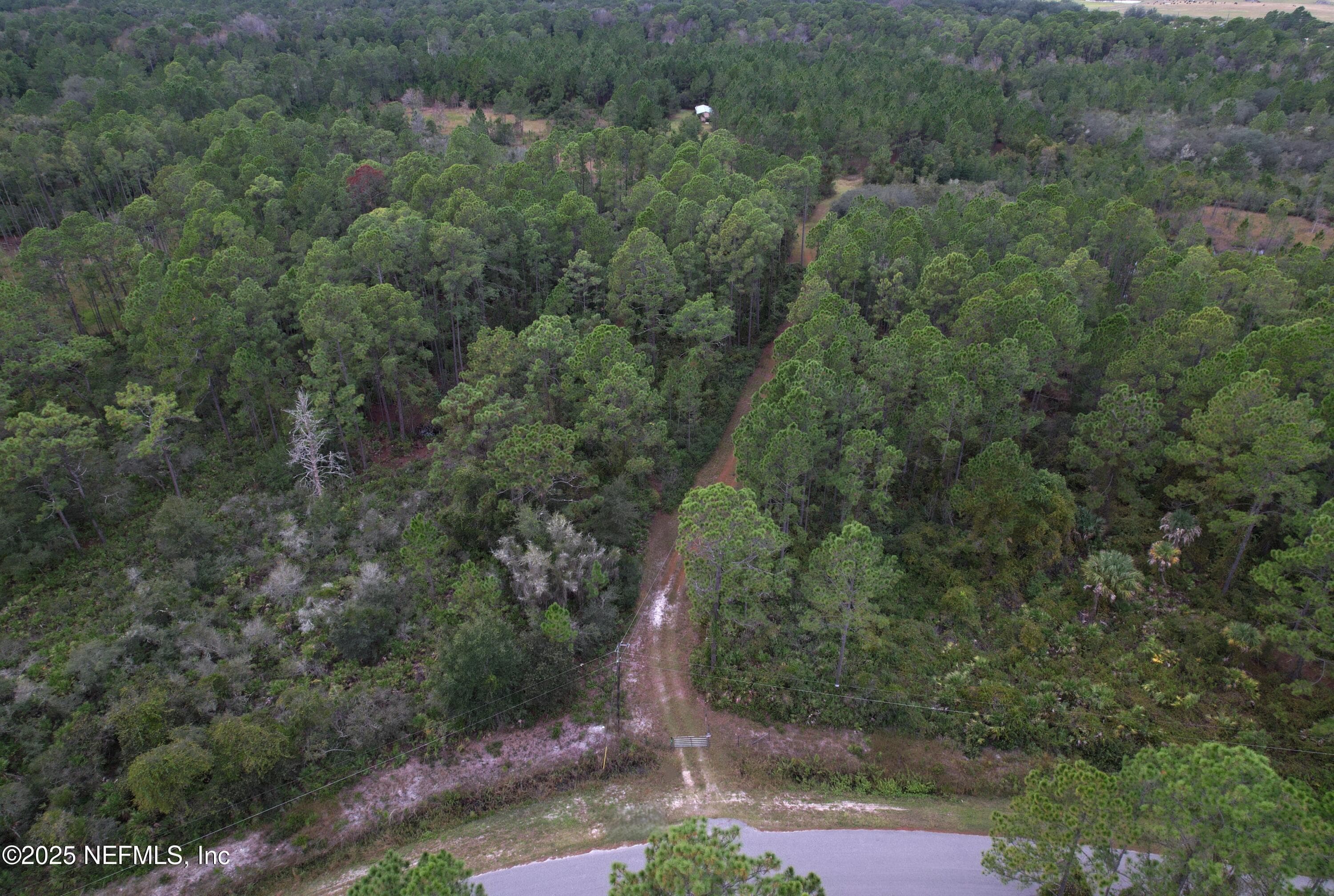 Photo 19 of 139 LAKEWAY Drive, Georgetown, FL 32139