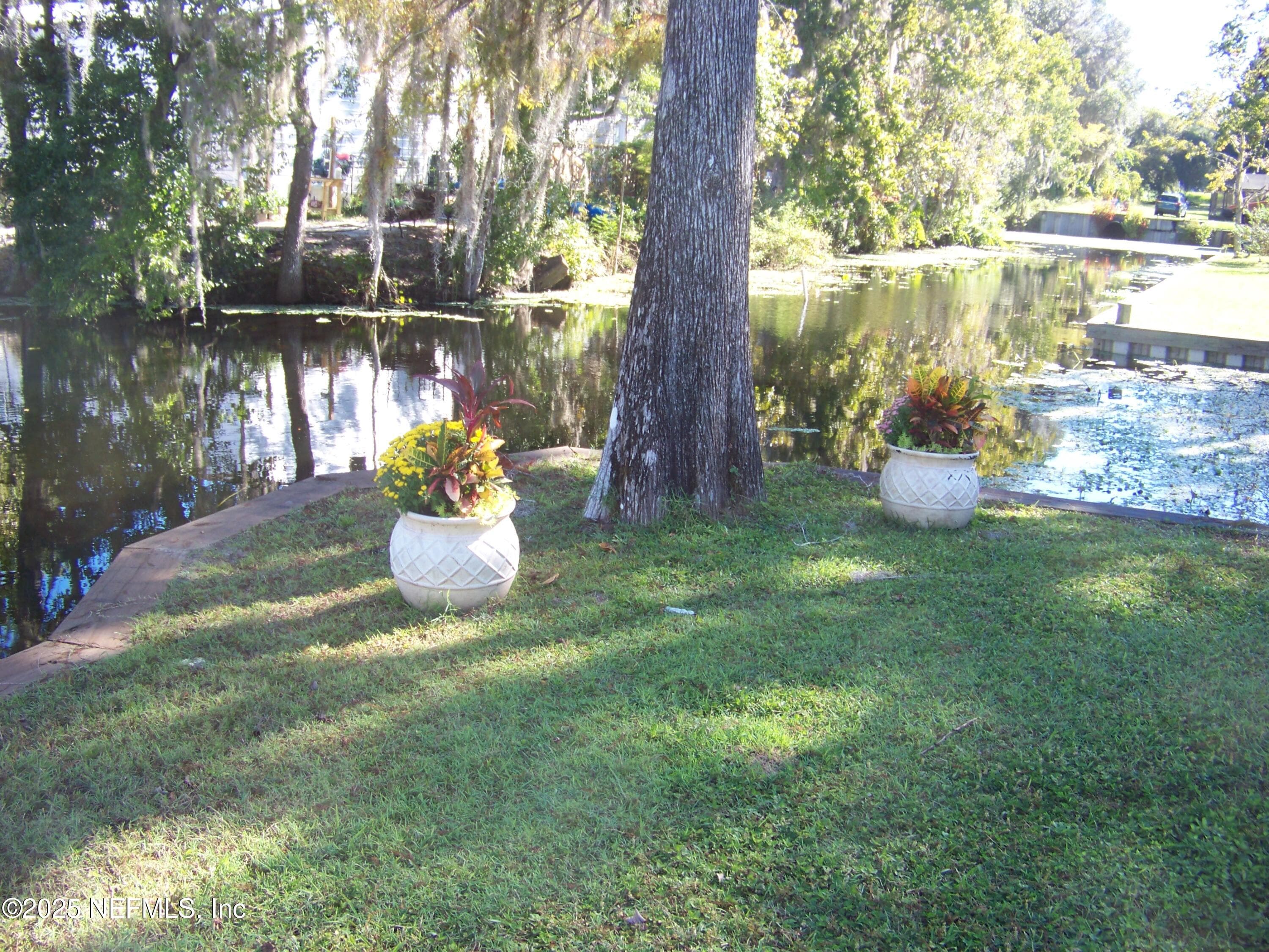 Backyard beautifully landscaped — 118 HICKS Avenue, Crescent City, FL 32112