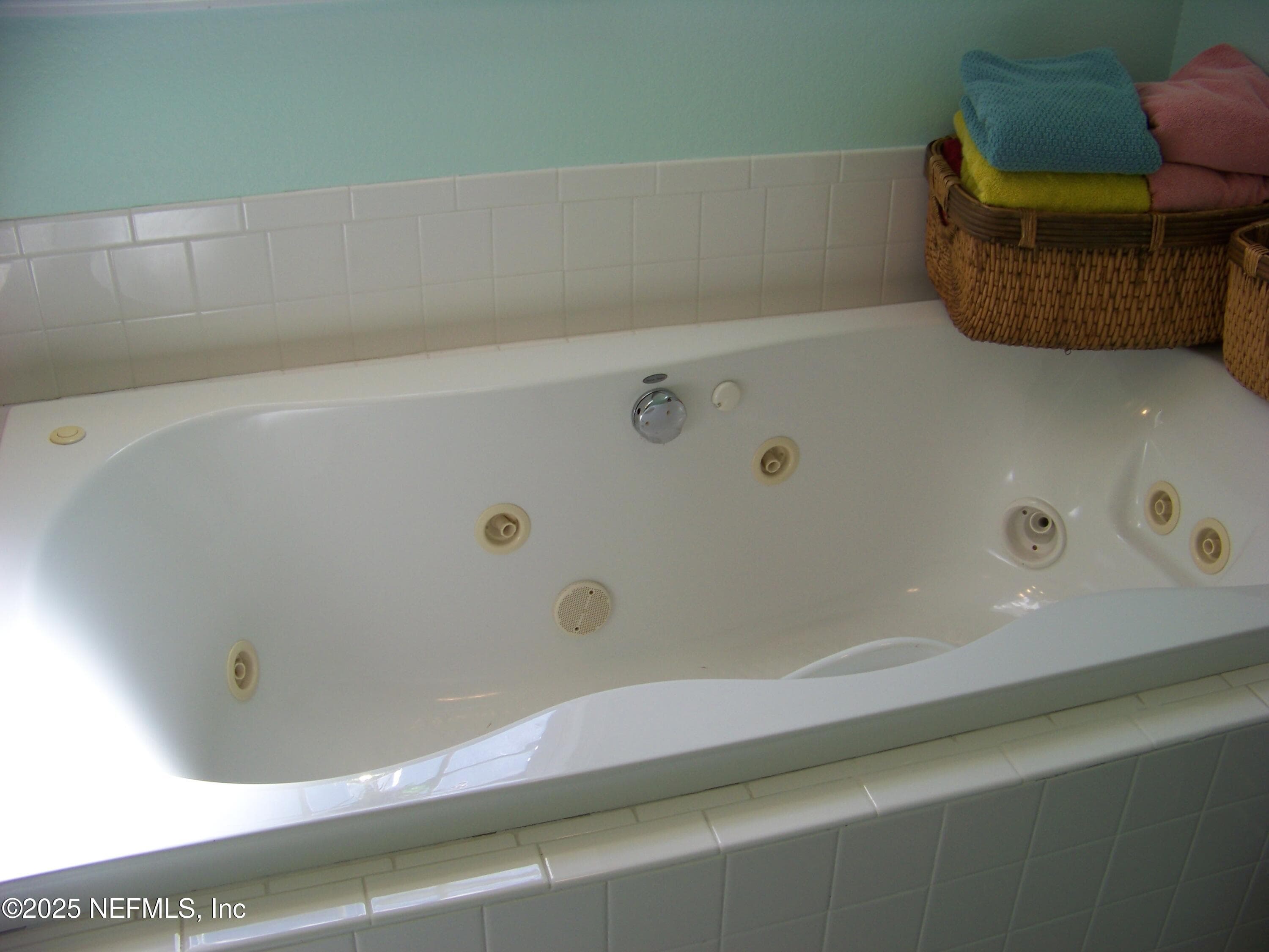 Jetted tub in owners' suite — 118 HICKS Avenue, Crescent City, FL 32112