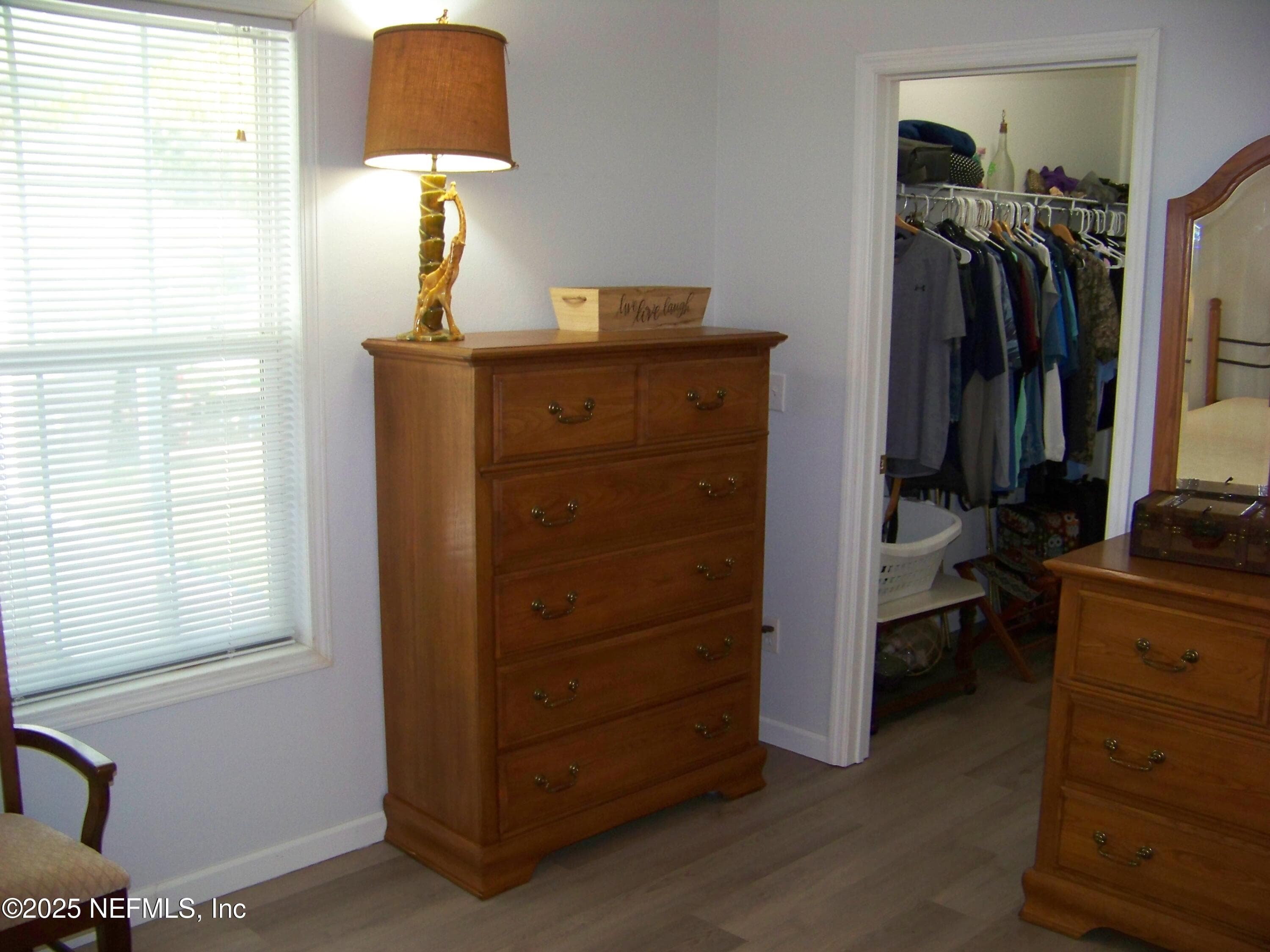 Owners suite and walk in closet — 118 HICKS Avenue, Crescent City, FL 32112