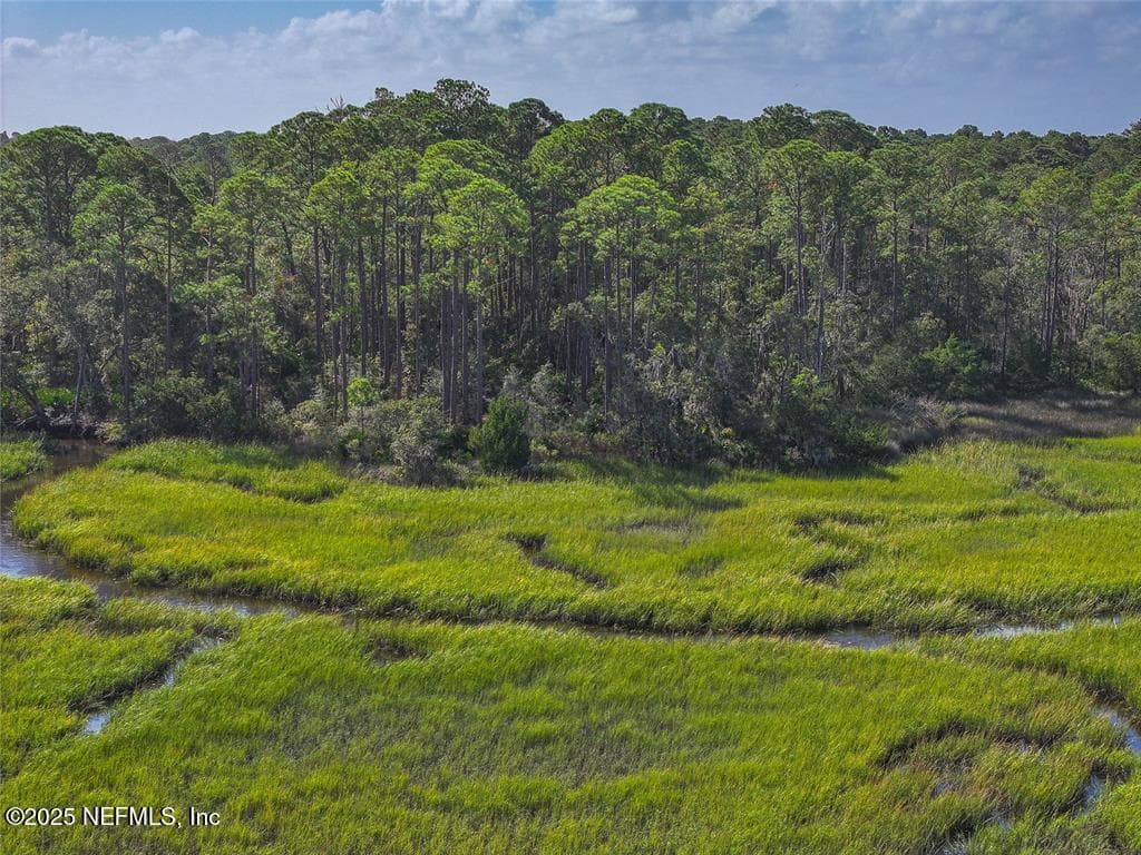 Photo 8 of 0 MANGO Lane, Fernandina Beach, FL 32034
