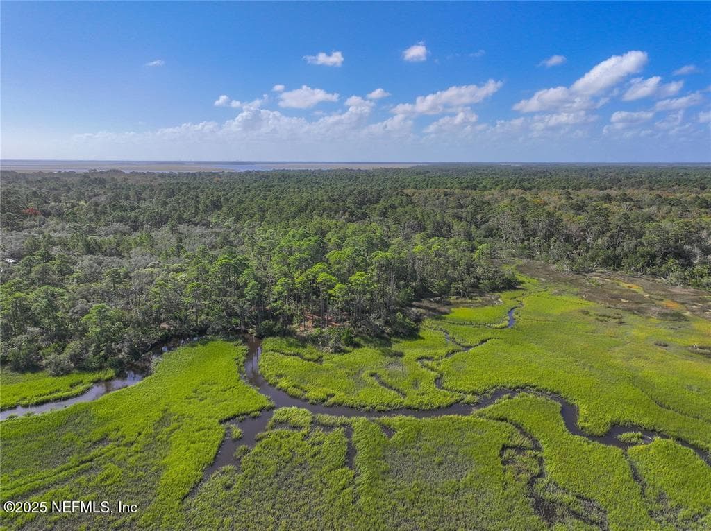 Photo 9 of 0 MANGO Lane, Fernandina Beach, FL 32034