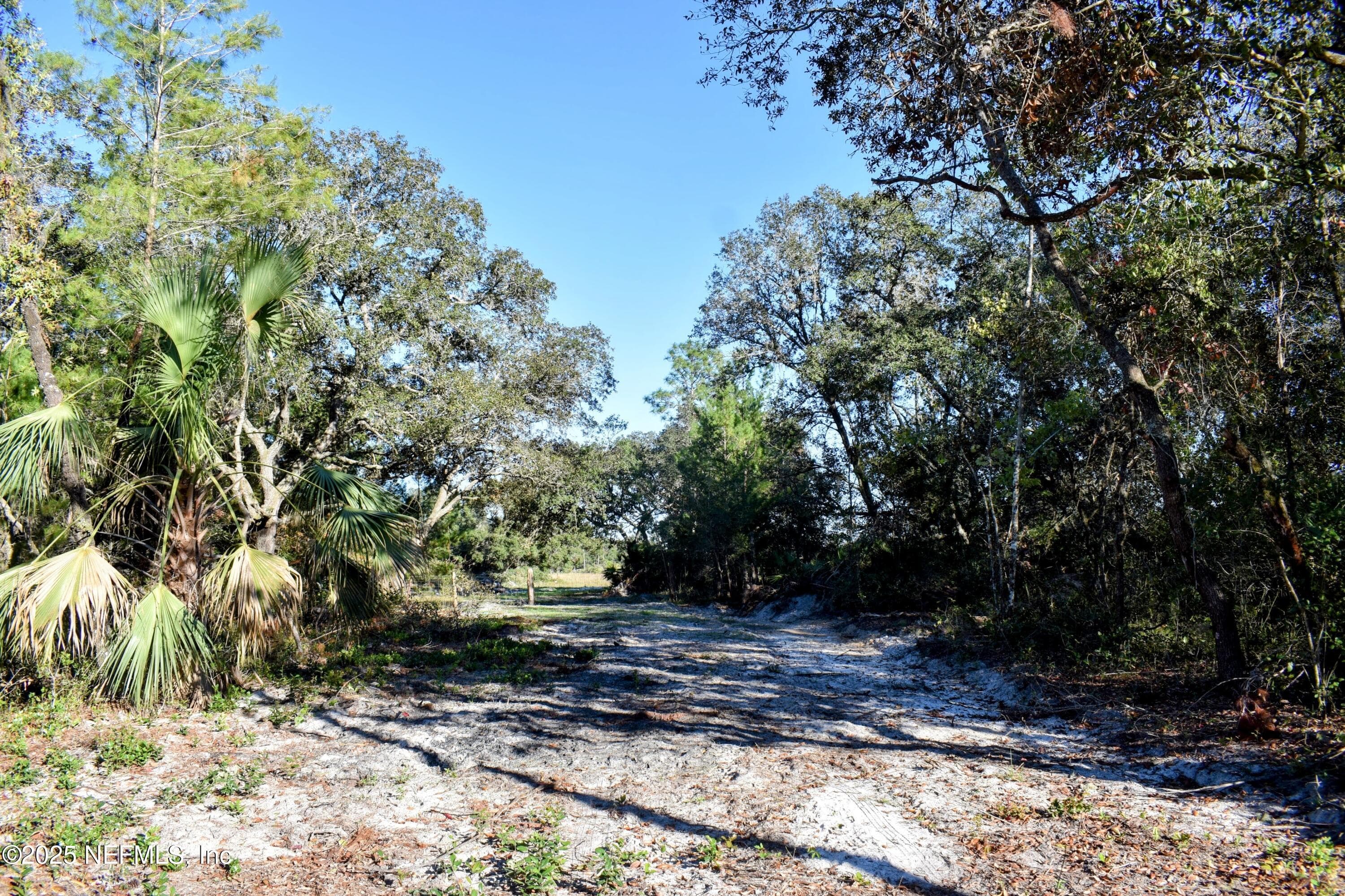 Photo 18 of 96 BRIDLE Drive, Interlachen, FL 32148