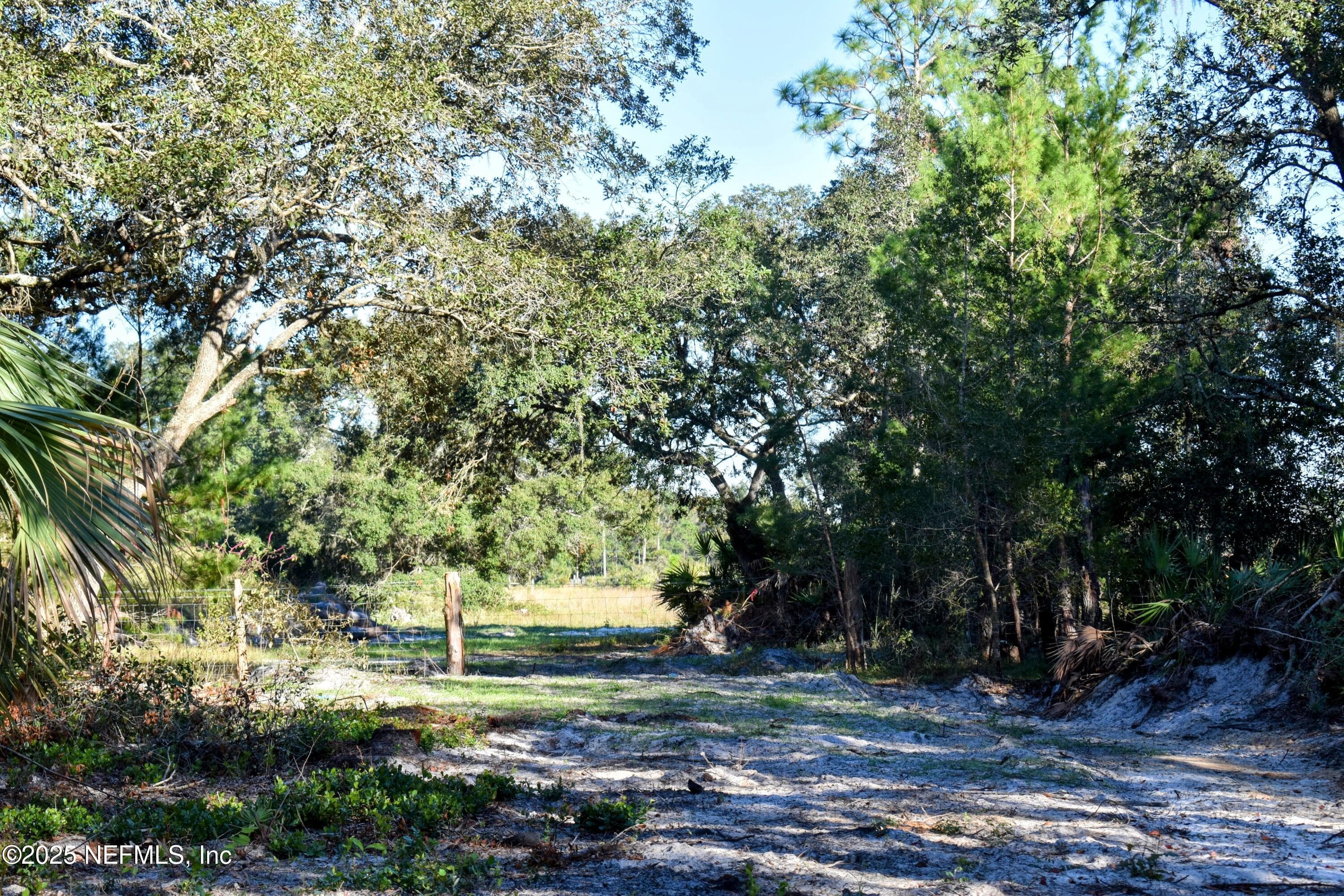 Photo 9 of 96 BRIDLE Drive, Interlachen, FL 32148