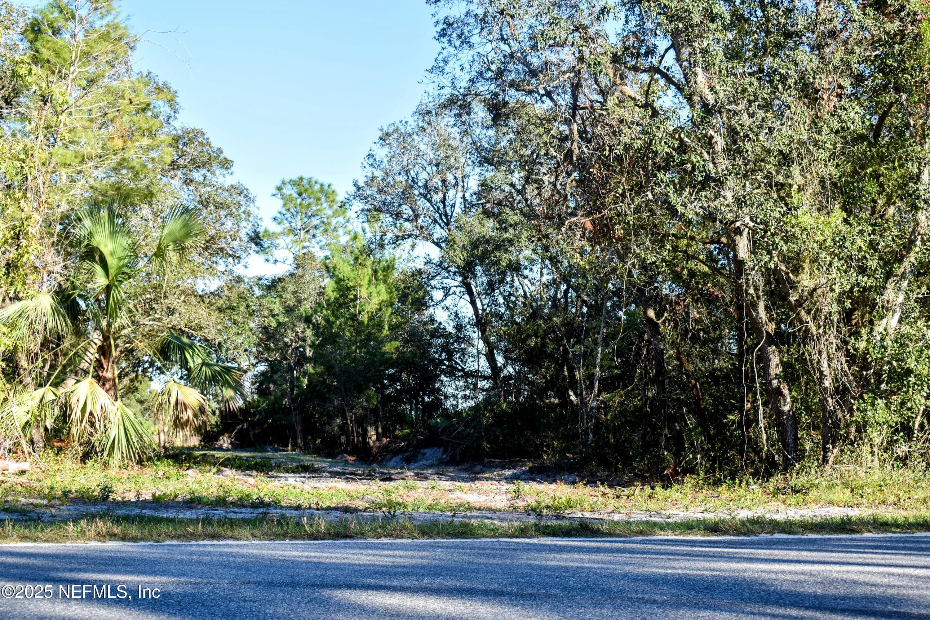 Photo 17 of 96 BRIDLE Drive, Interlachen, FL 32148