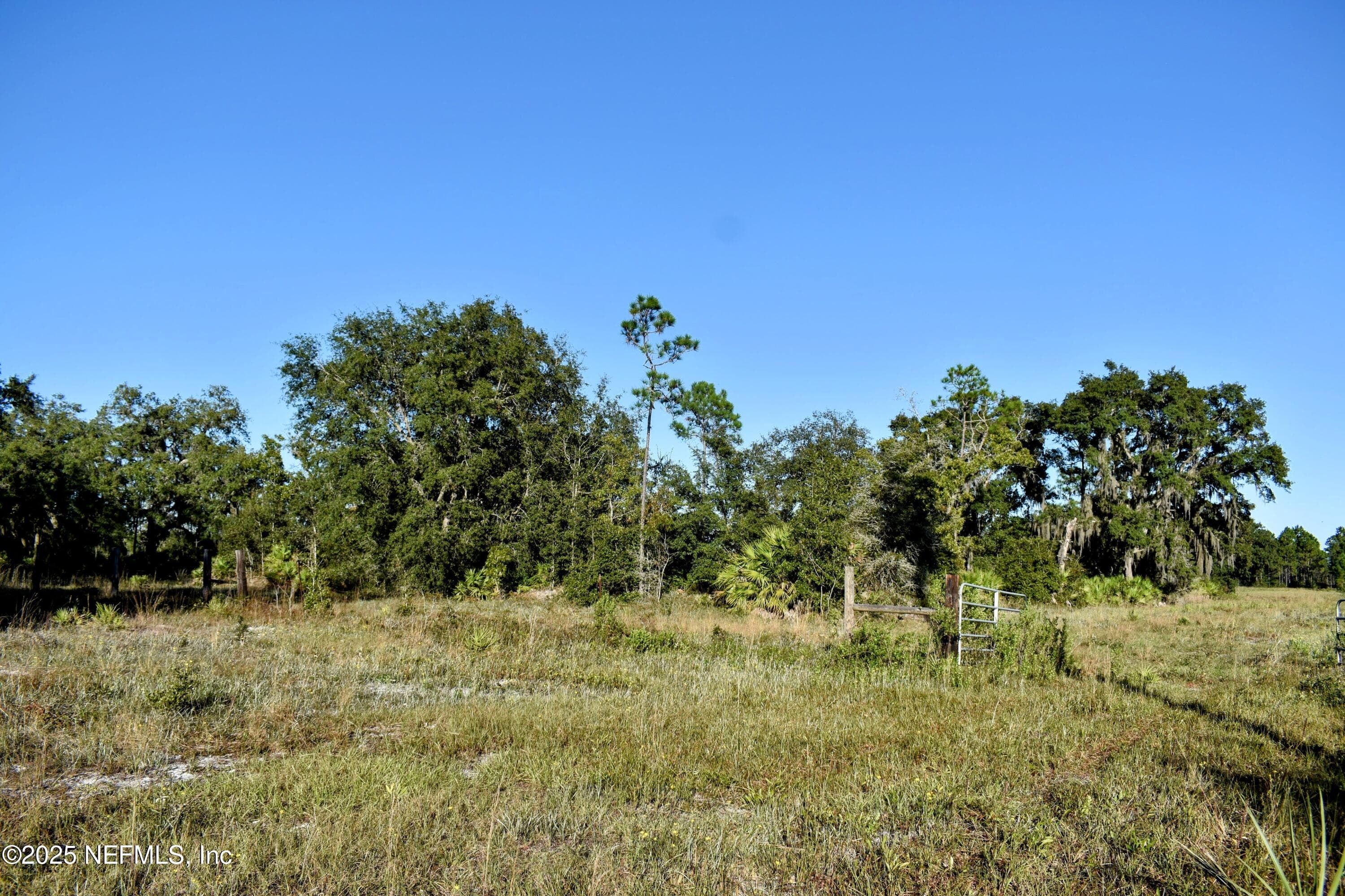 Photo 10 of 96 BRIDLE Drive, Interlachen, FL 32148