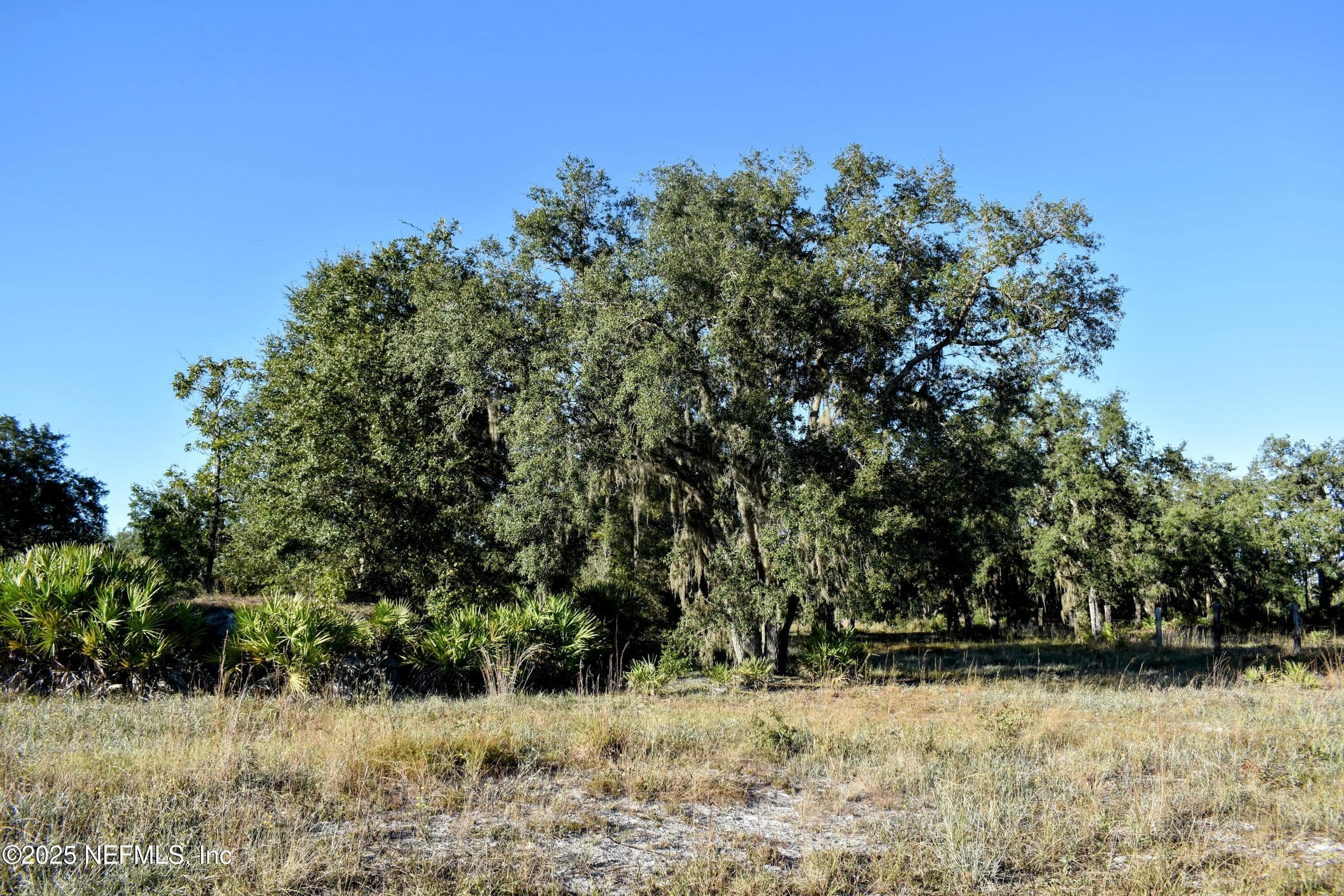 Photo 11 of 96 BRIDLE Drive, Interlachen, FL 32148