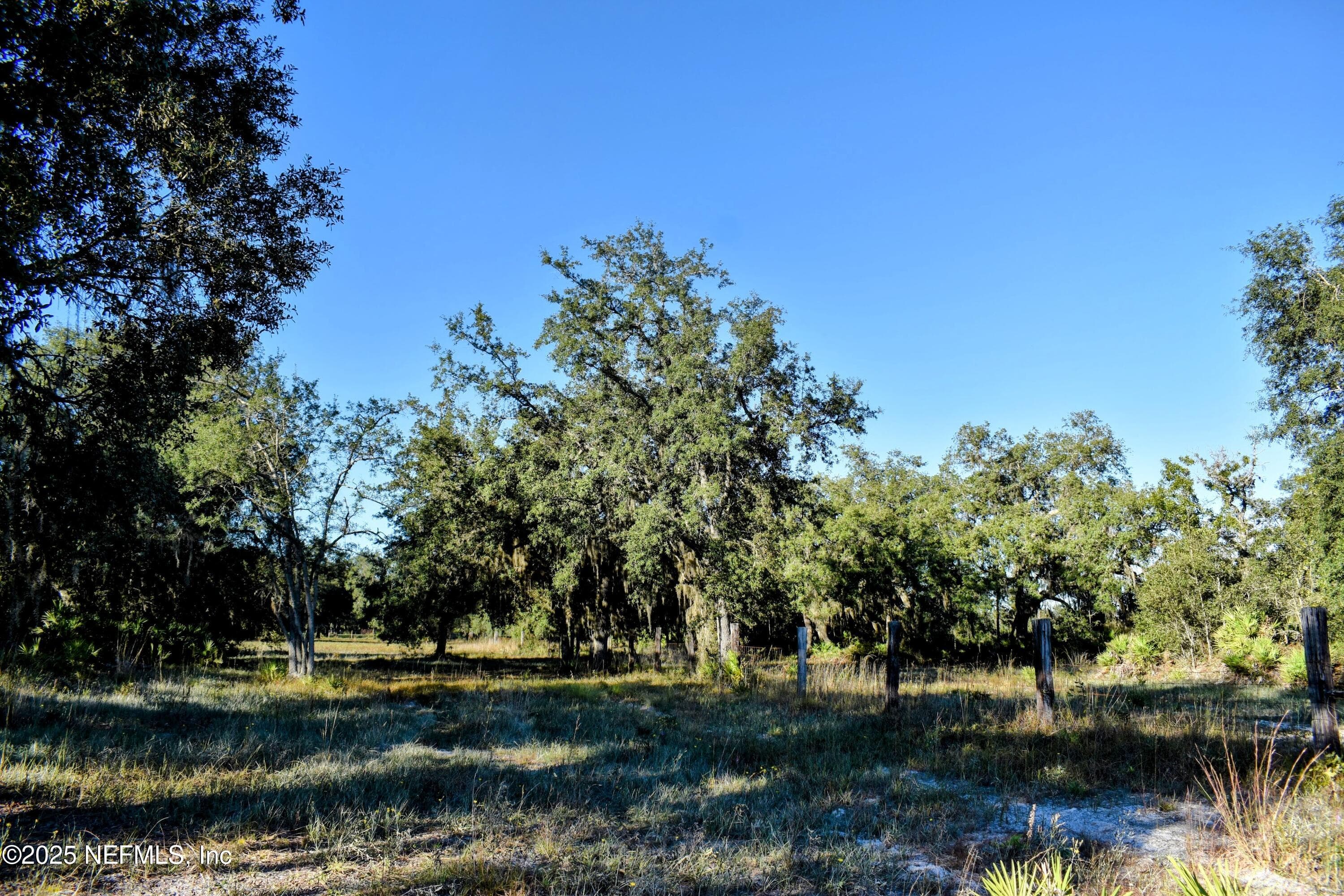 Photo 12 of 96 BRIDLE Drive, Interlachen, FL 32148