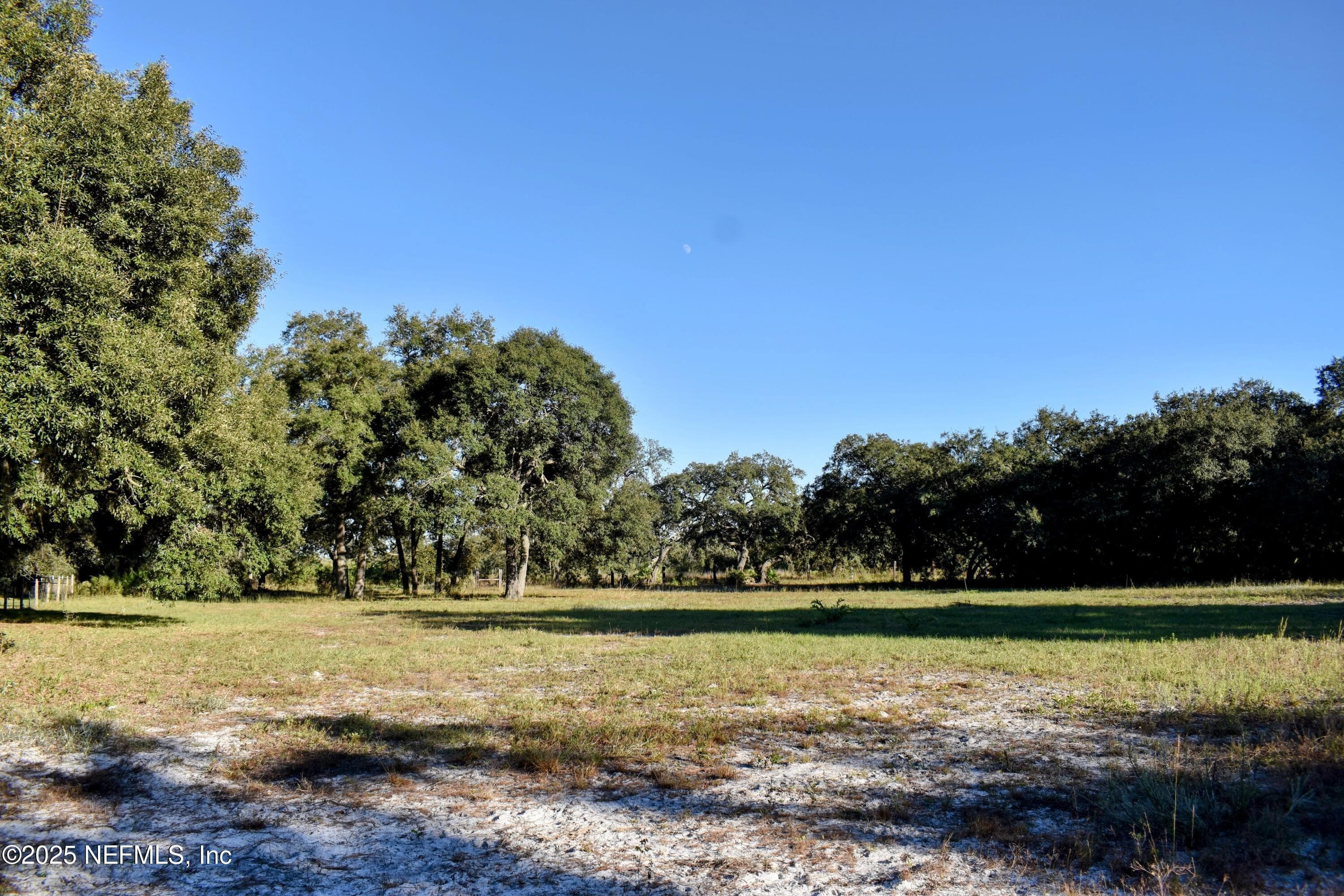 Photo 8 of 96 BRIDLE Drive, Interlachen, FL 32148