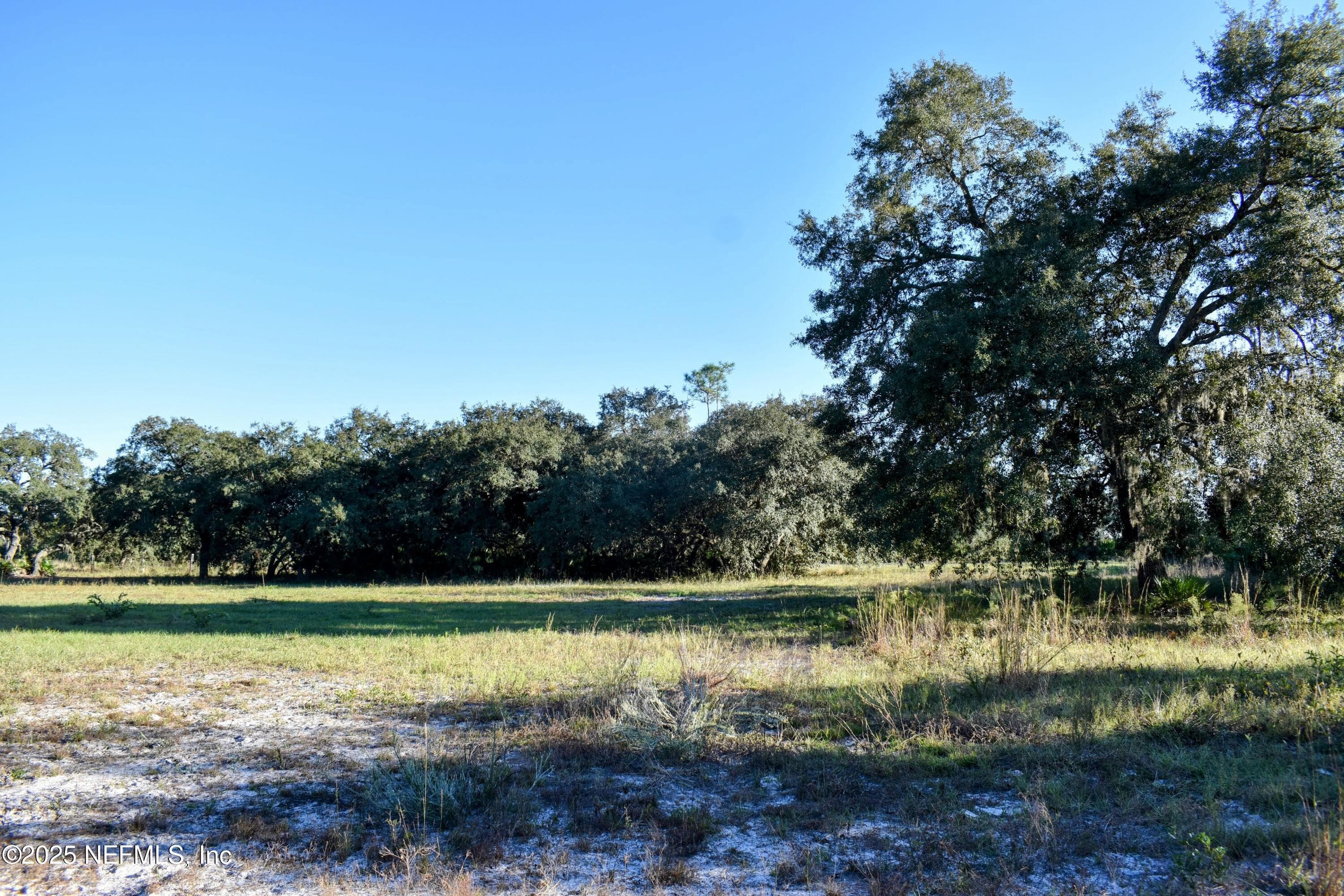 Photo 13 of 96 BRIDLE Drive, Interlachen, FL 32148