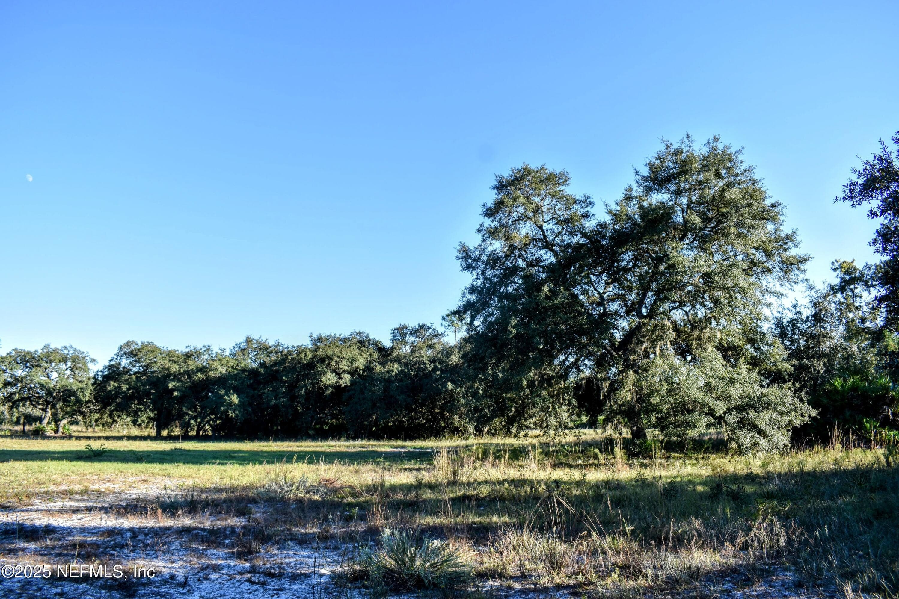 Photo 14 of 96 BRIDLE Drive, Interlachen, FL 32148