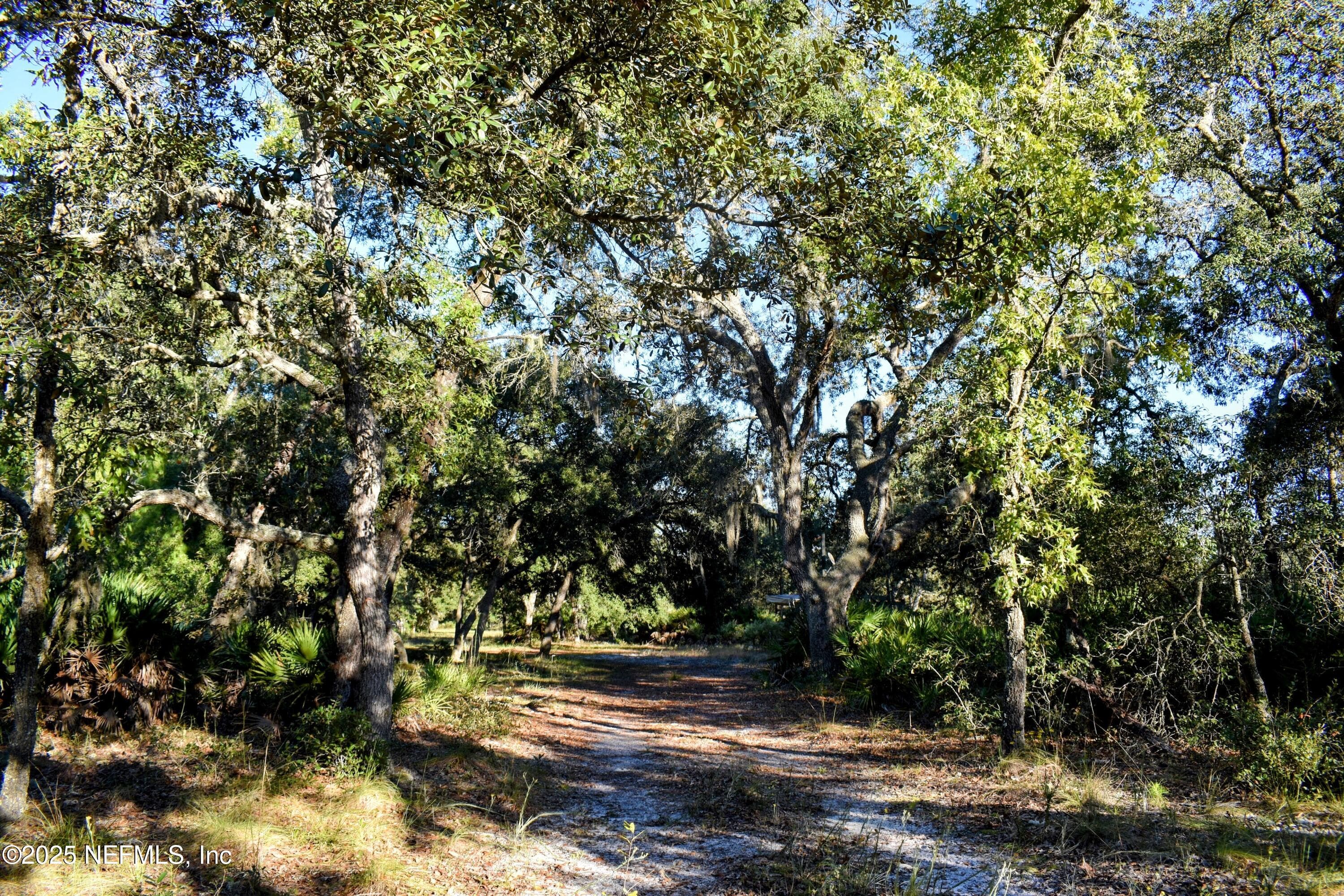 Photo 16 of 96 BRIDLE Drive, Interlachen, FL 32148