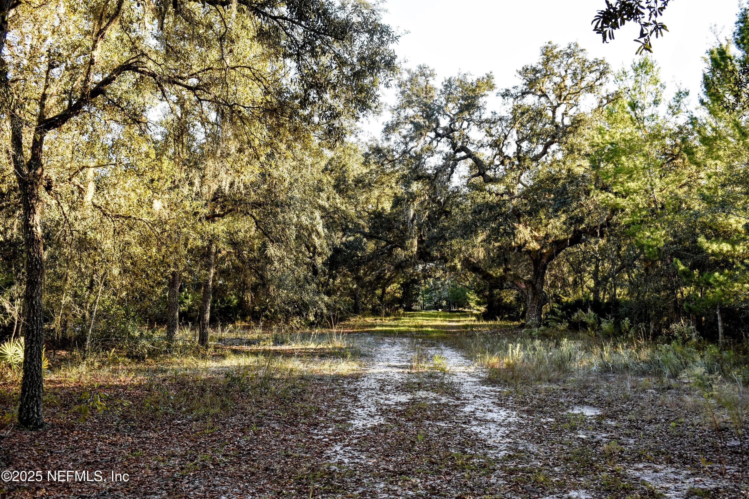 Photo 7 of 96 BRIDLE Drive, Interlachen, FL 32148
