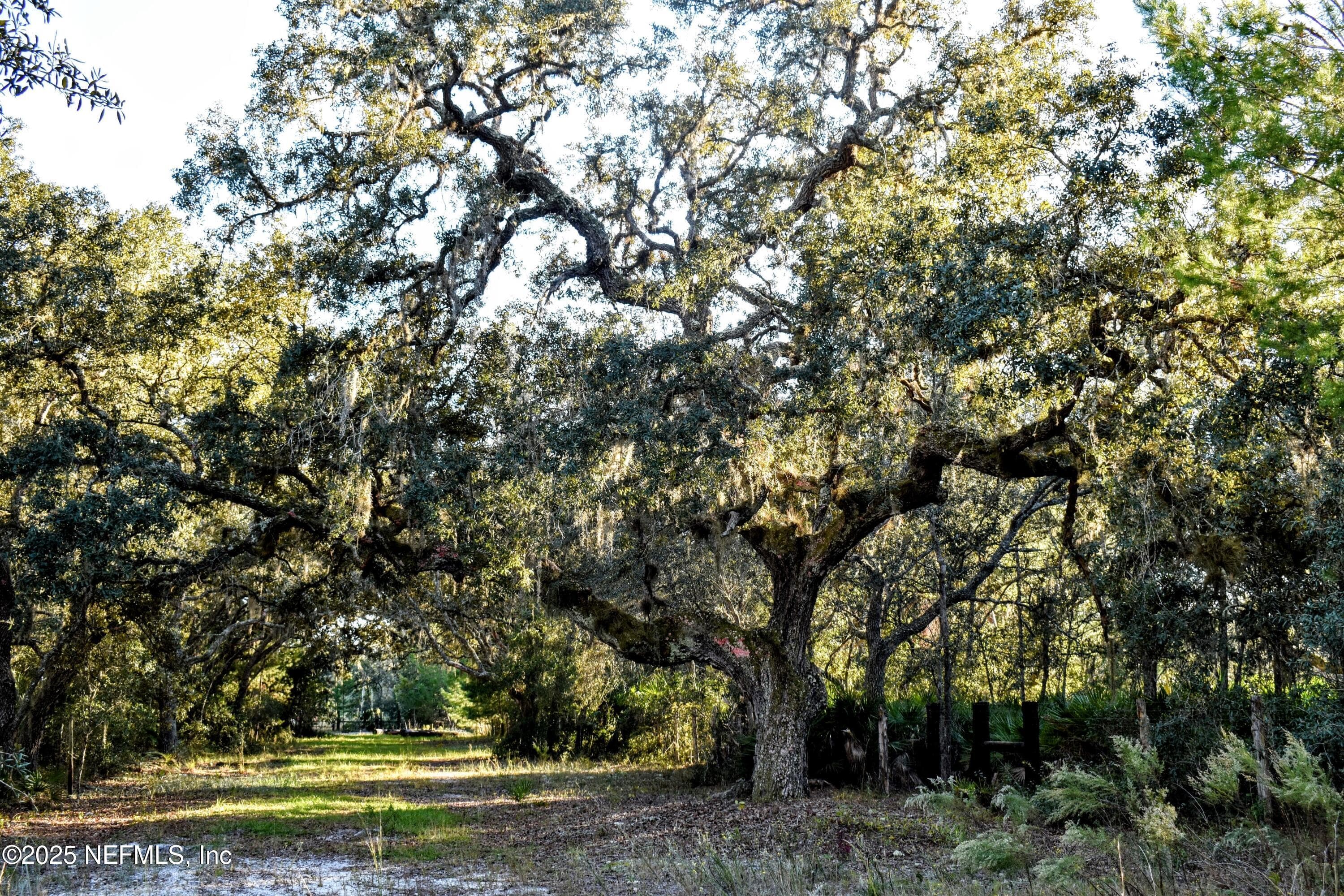 Photo 5 of 96 BRIDLE Drive, Interlachen, FL 32148