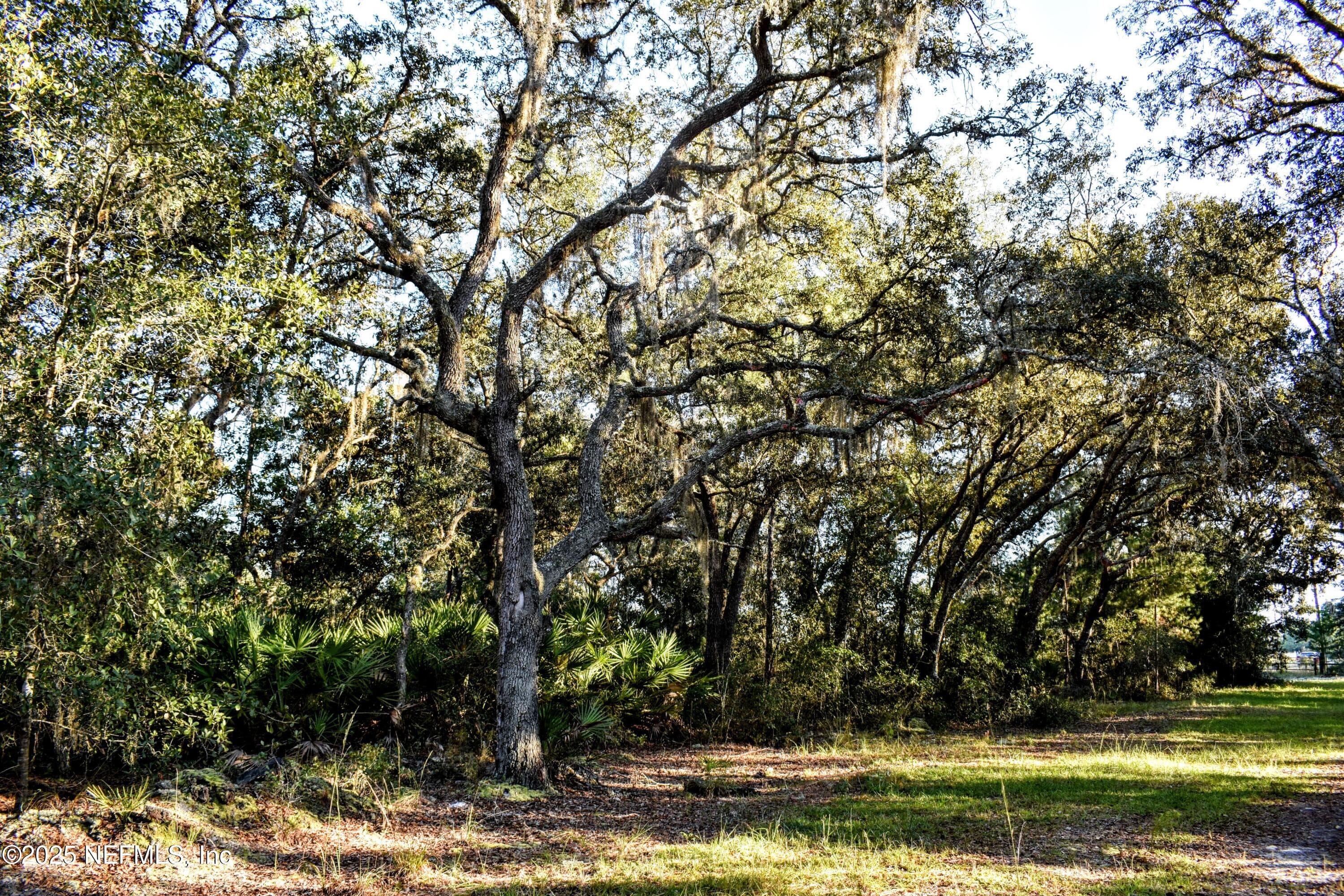 Photo 6 of 96 BRIDLE Drive, Interlachen, FL 32148
