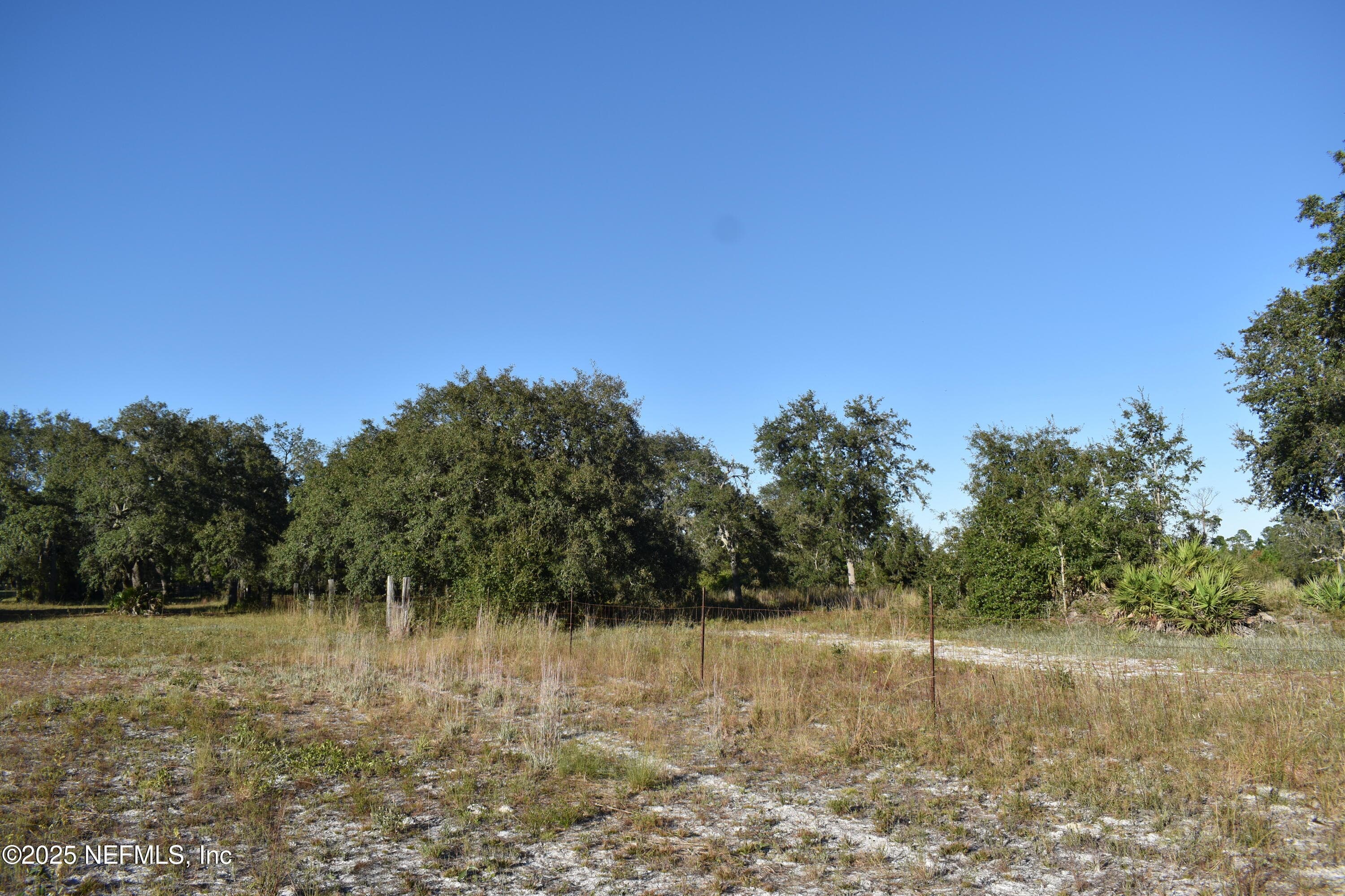 Photo 15 of 96 BRIDLE Drive, Interlachen, FL 32148