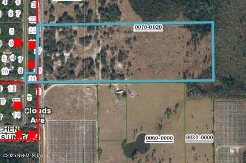 Photo 21 of 96 BRIDLE Drive, Interlachen, FL 32148
