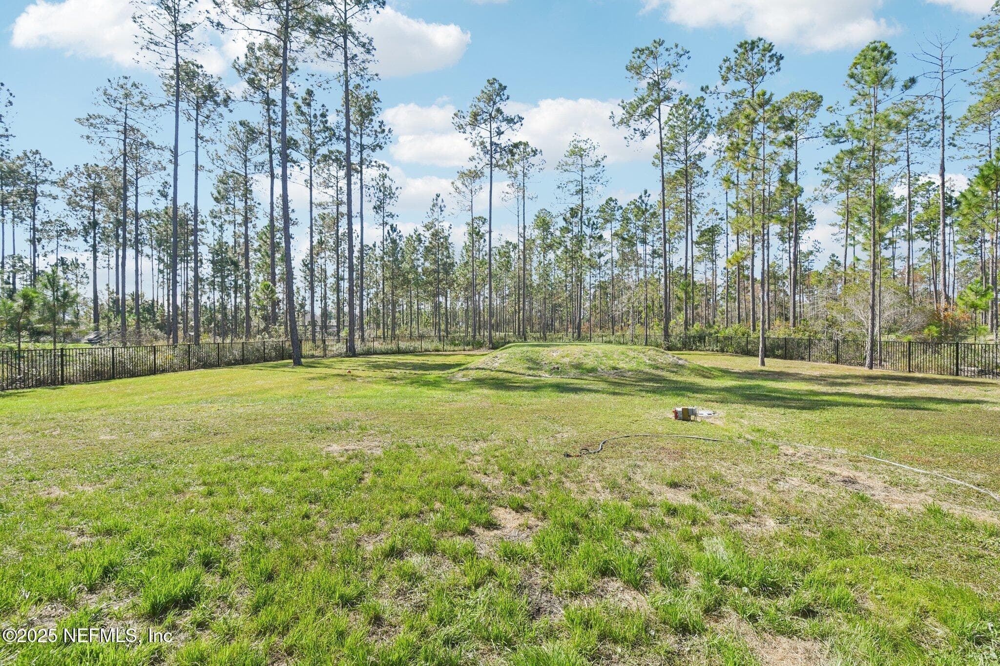 Photo 54 of 36273 SUGAR Court, Hilliard, FL 32046
