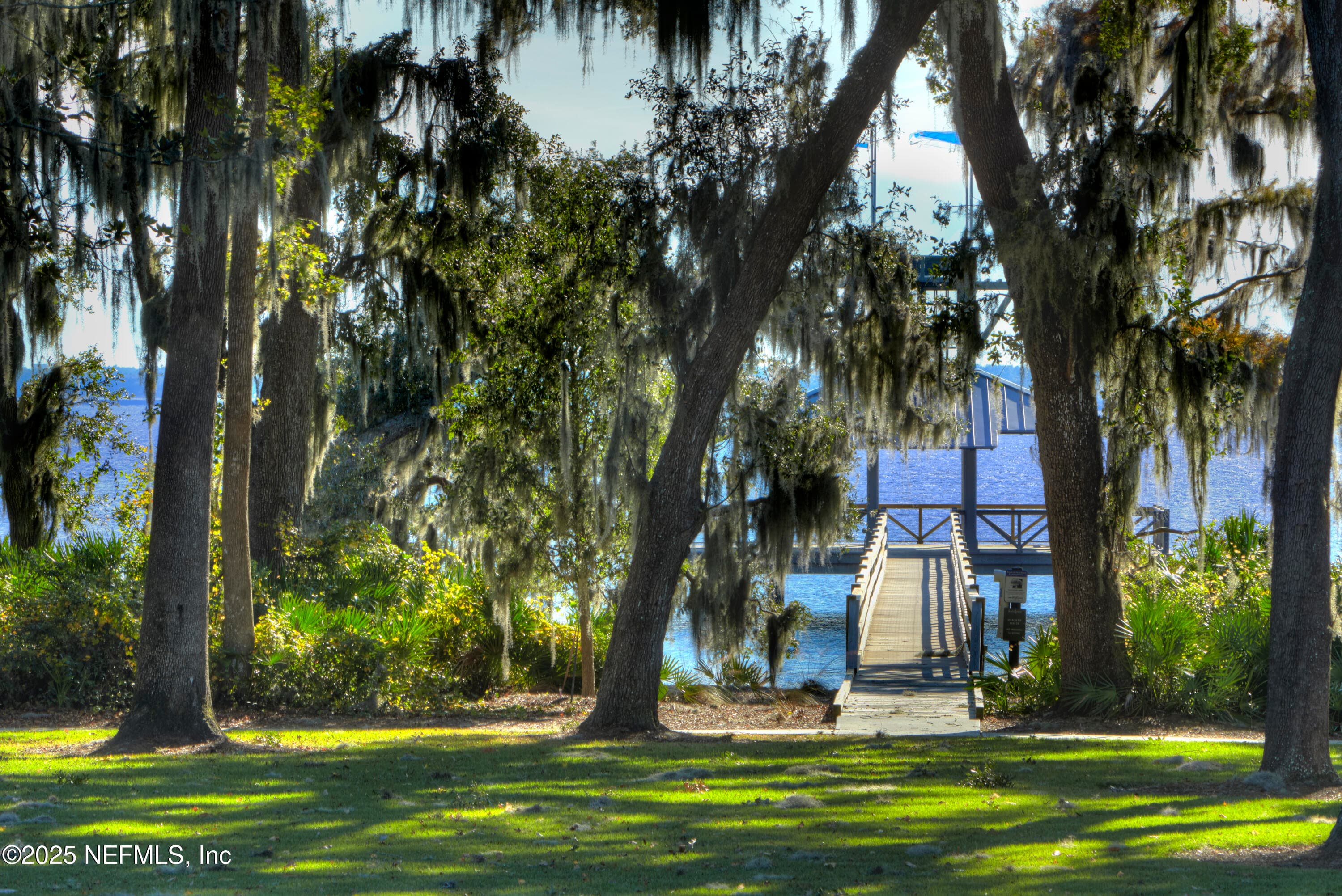 Photo 46 of 733 JUNIPER HILLS Drive, St. Johns, FL 32259