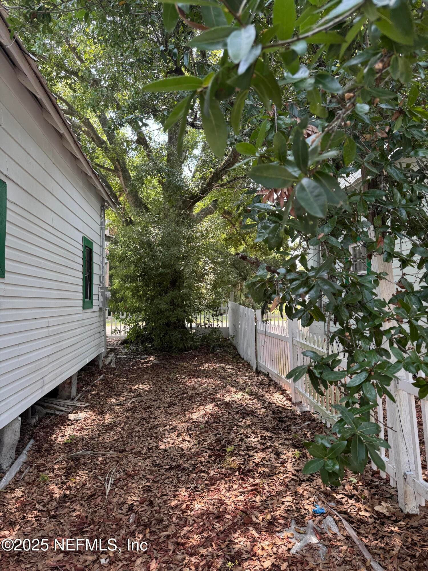 Photo 5 of 946 SPEARING Street, Jacksonville, FL 32206