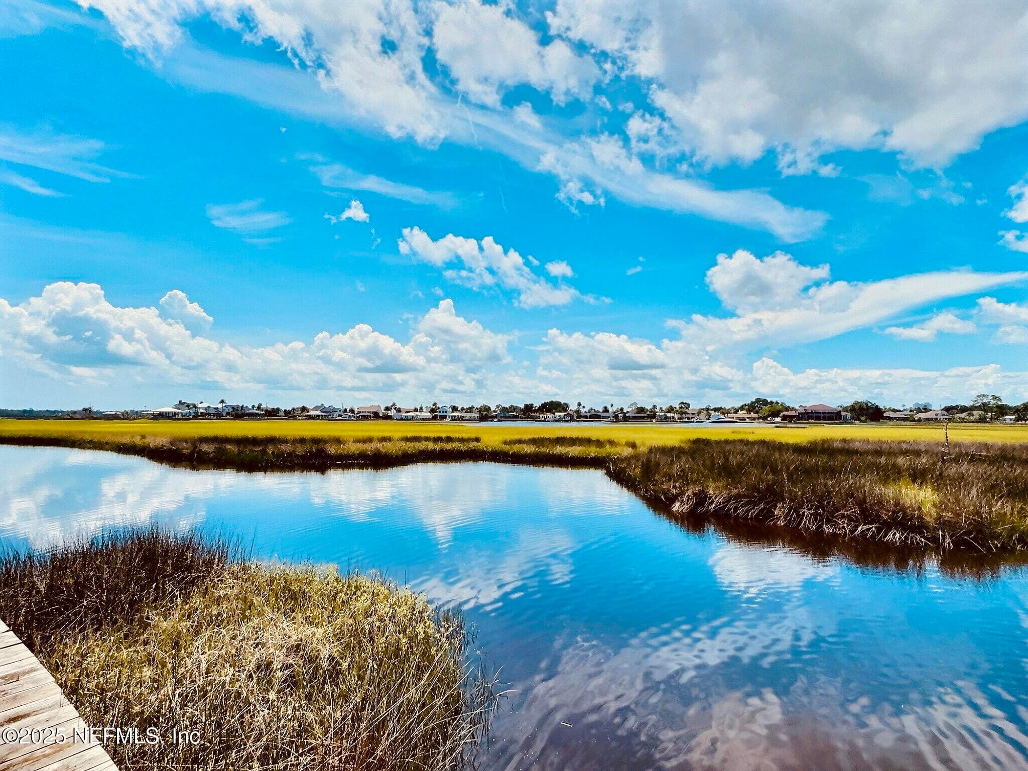 Photo 51 of 3360 LIGHTHOUSE POINT Lane, Jacksonville, FL 32250