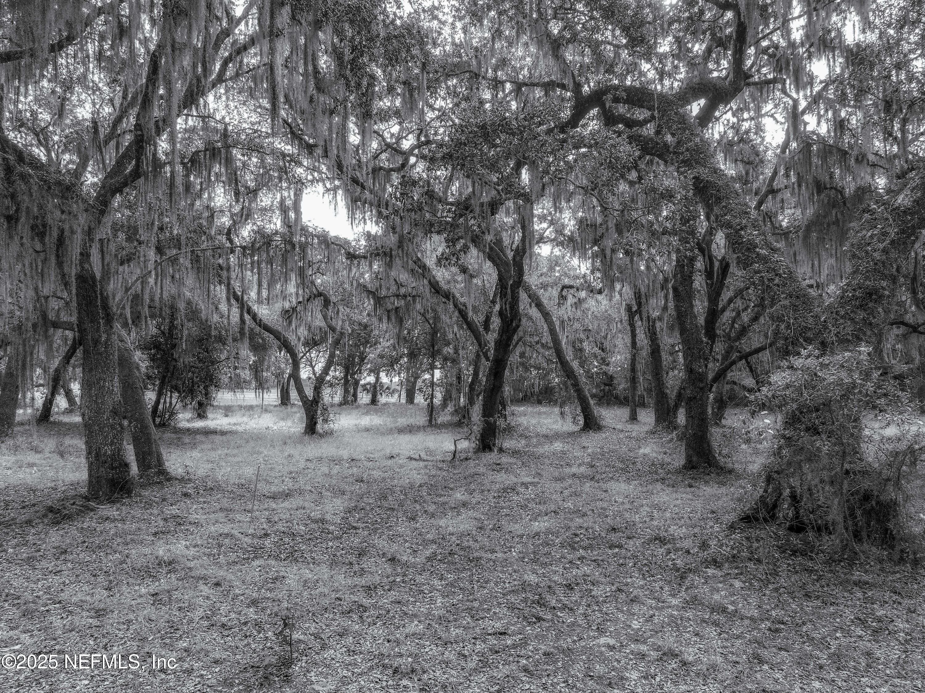 Photo 6 of 13550 N COUNTY ROAD 13, St. Augustine, FL 32092