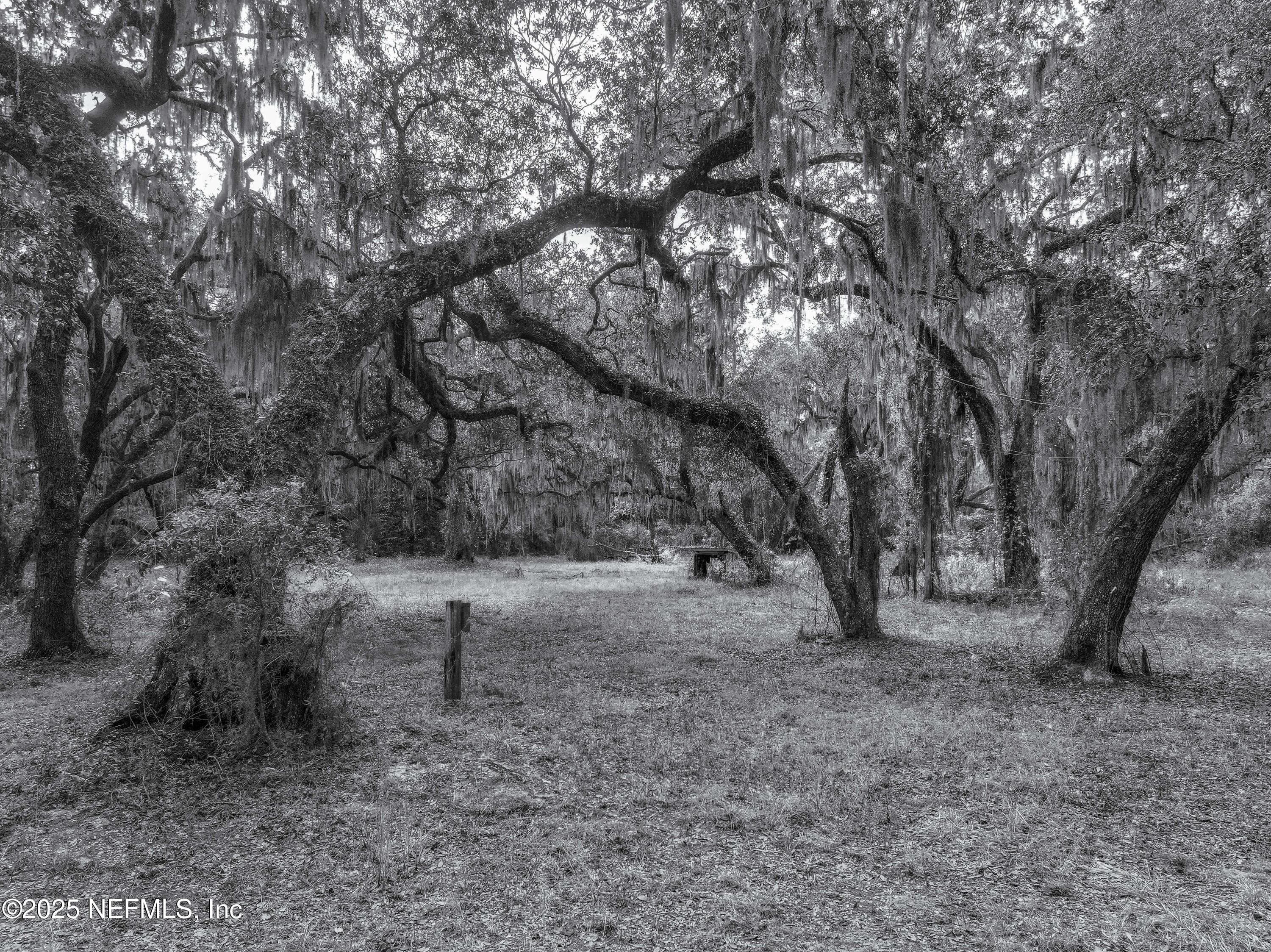 Photo 8 of 13550 N COUNTY ROAD 13, St. Augustine, FL 32092