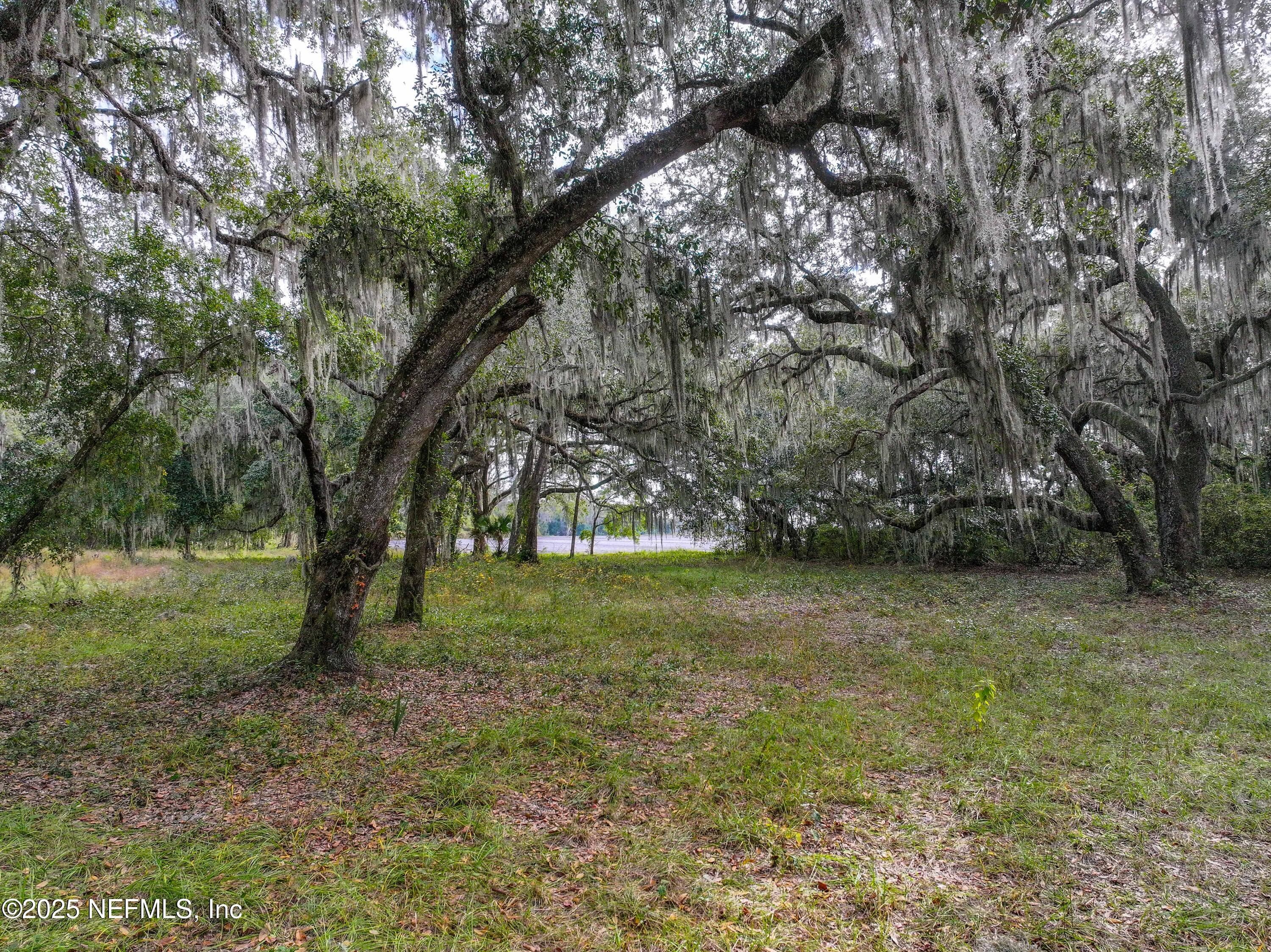 Photo 11 of 13550 N COUNTY ROAD 13, St. Augustine, FL 32092