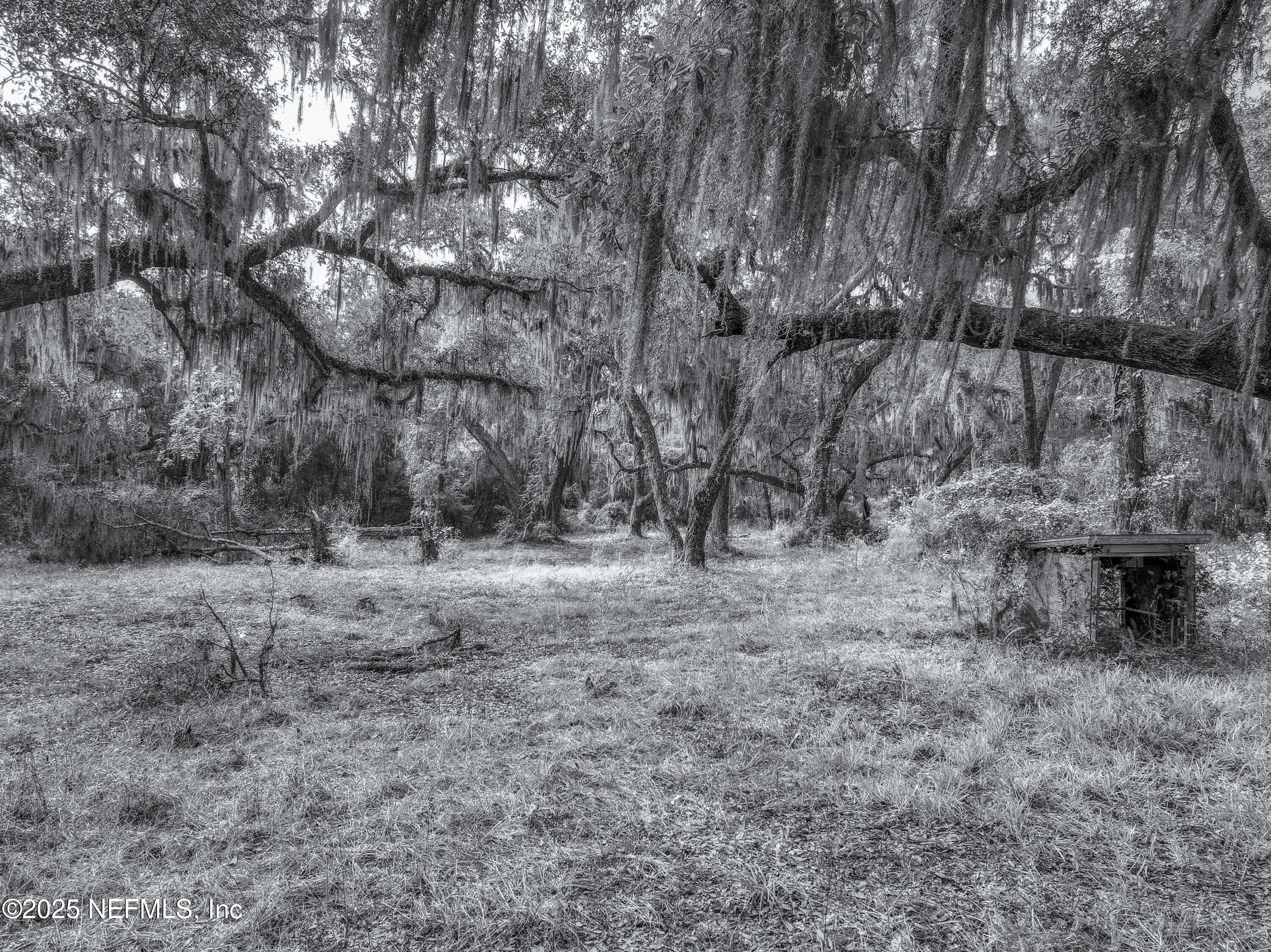 Photo 13 of 13550 N COUNTY ROAD 13, St. Augustine, FL 32092
