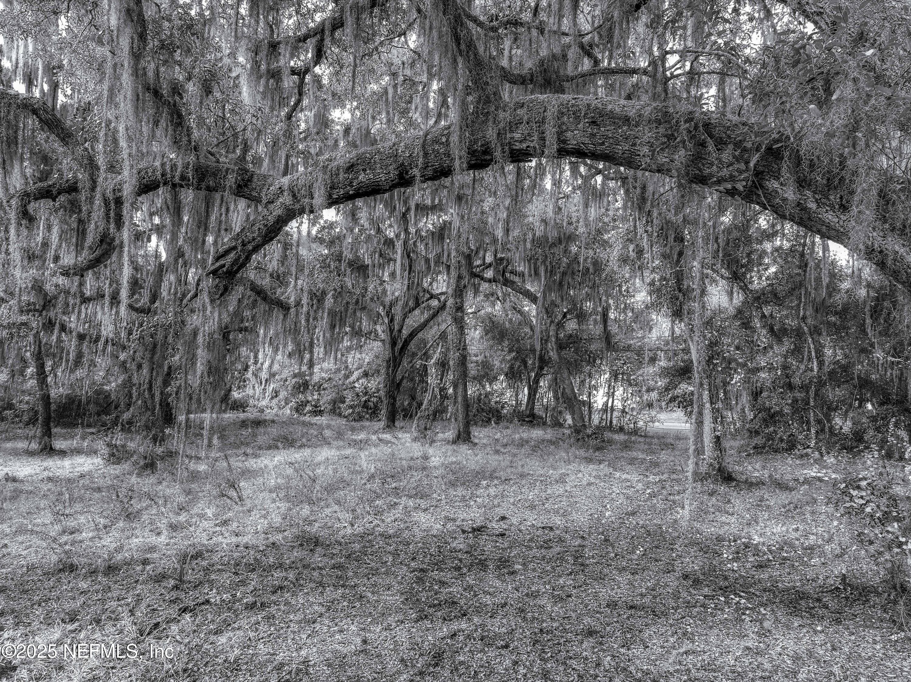 Photo 17 of 13550 N COUNTY ROAD 13, St. Augustine, FL 32092