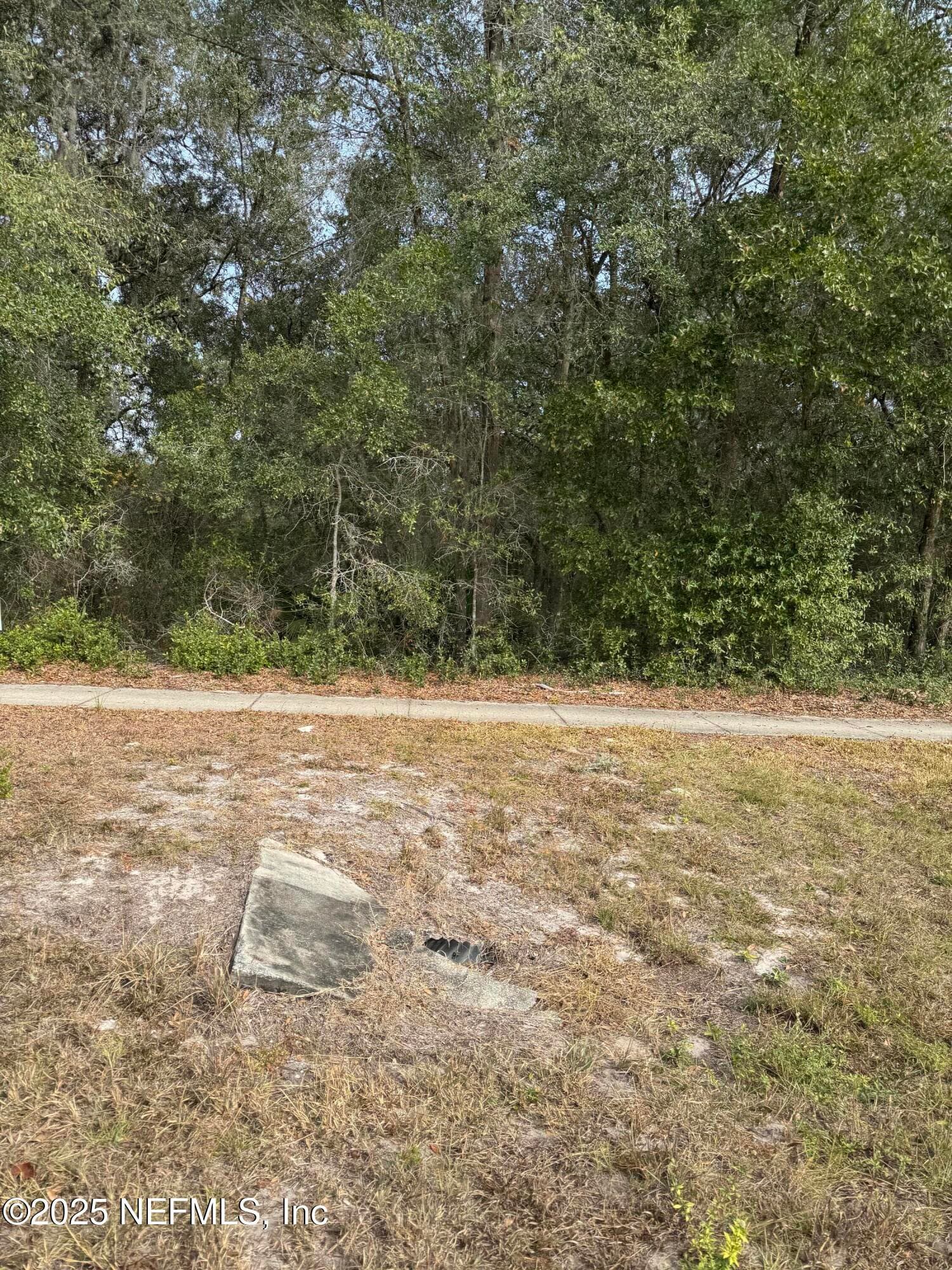 Photo 2 of 1682 S HIGHWAY 17 S, Pomona Park, FL 32181