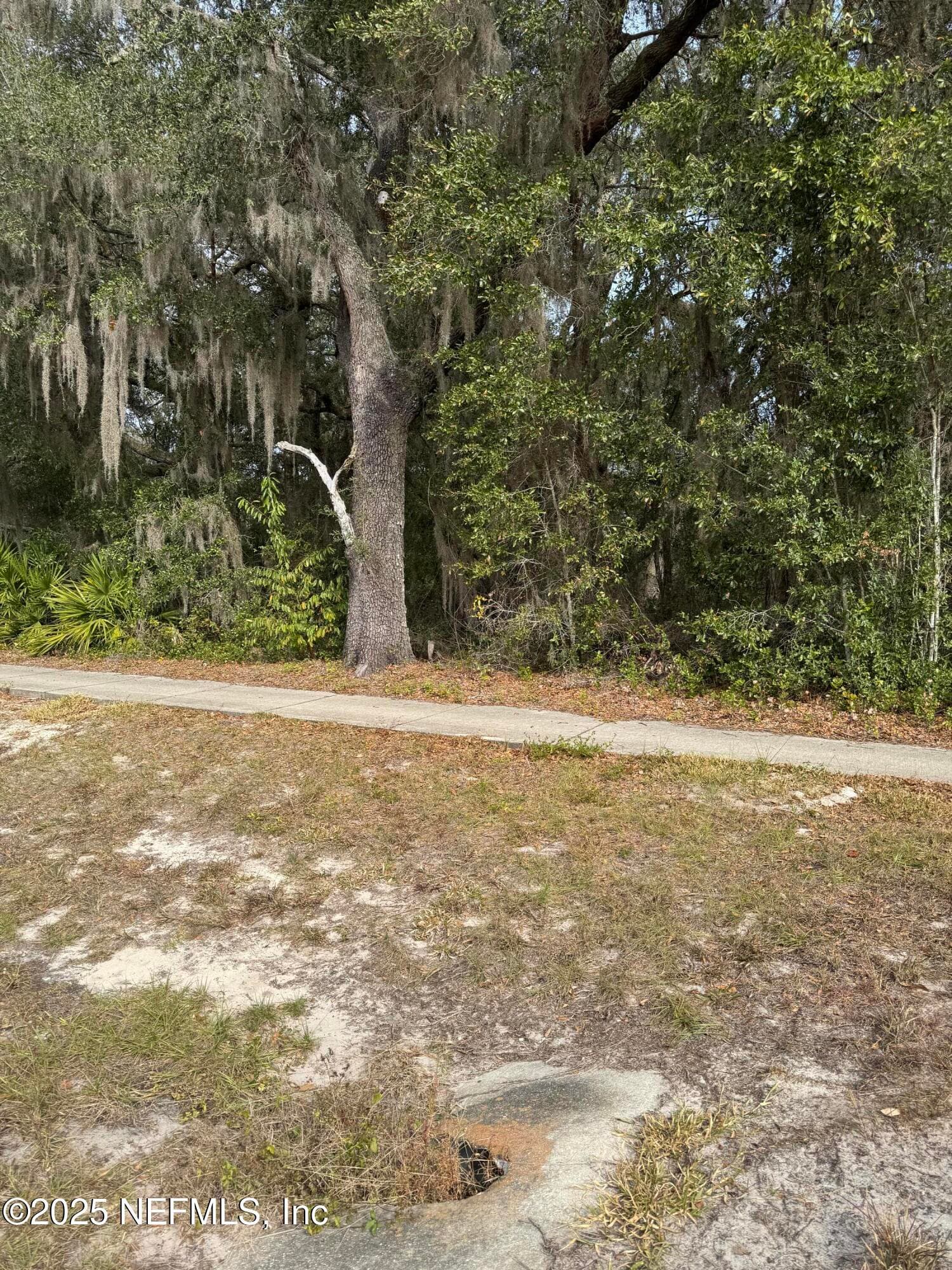 Photo 3 of 1682 S HIGHWAY 17 S, Pomona Park, FL 32181
