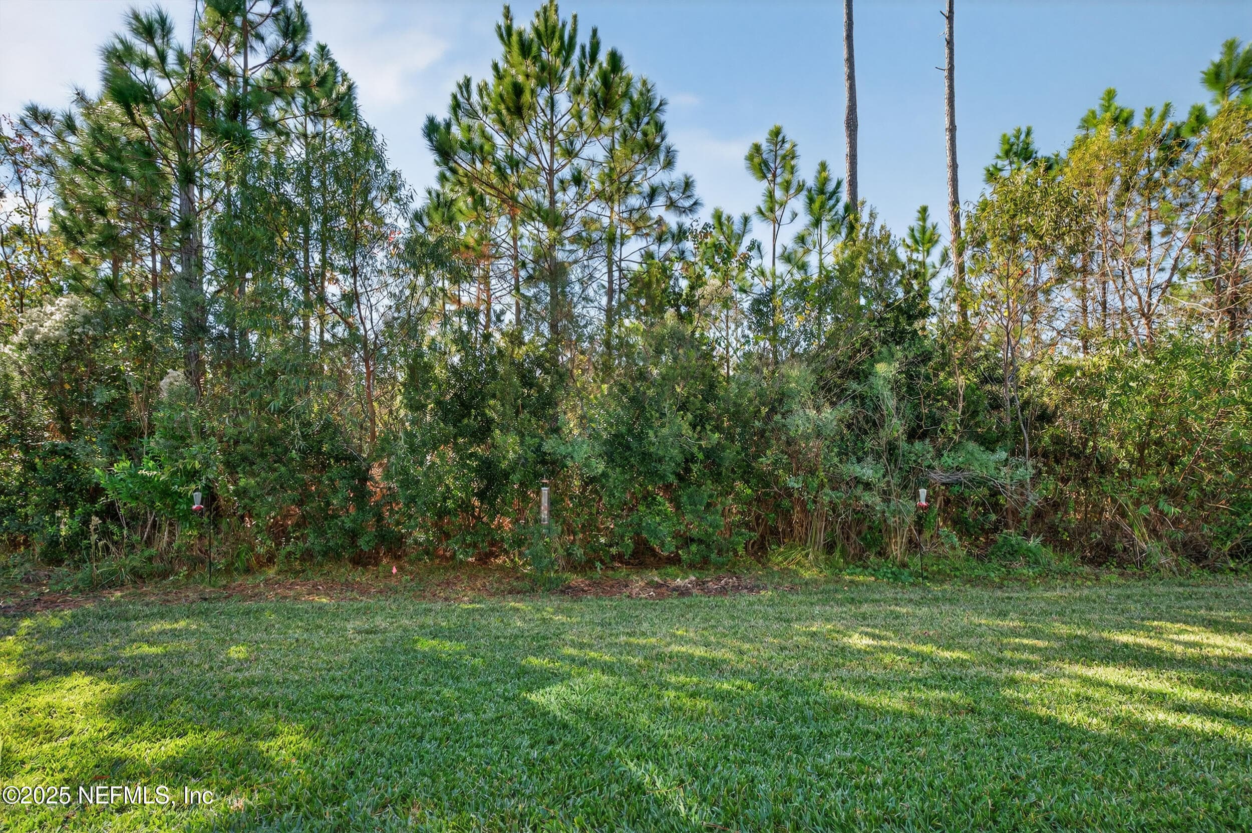 Backyard with a preserve view — 2752 TARTUS Drive, Jacksonville, FL 32246