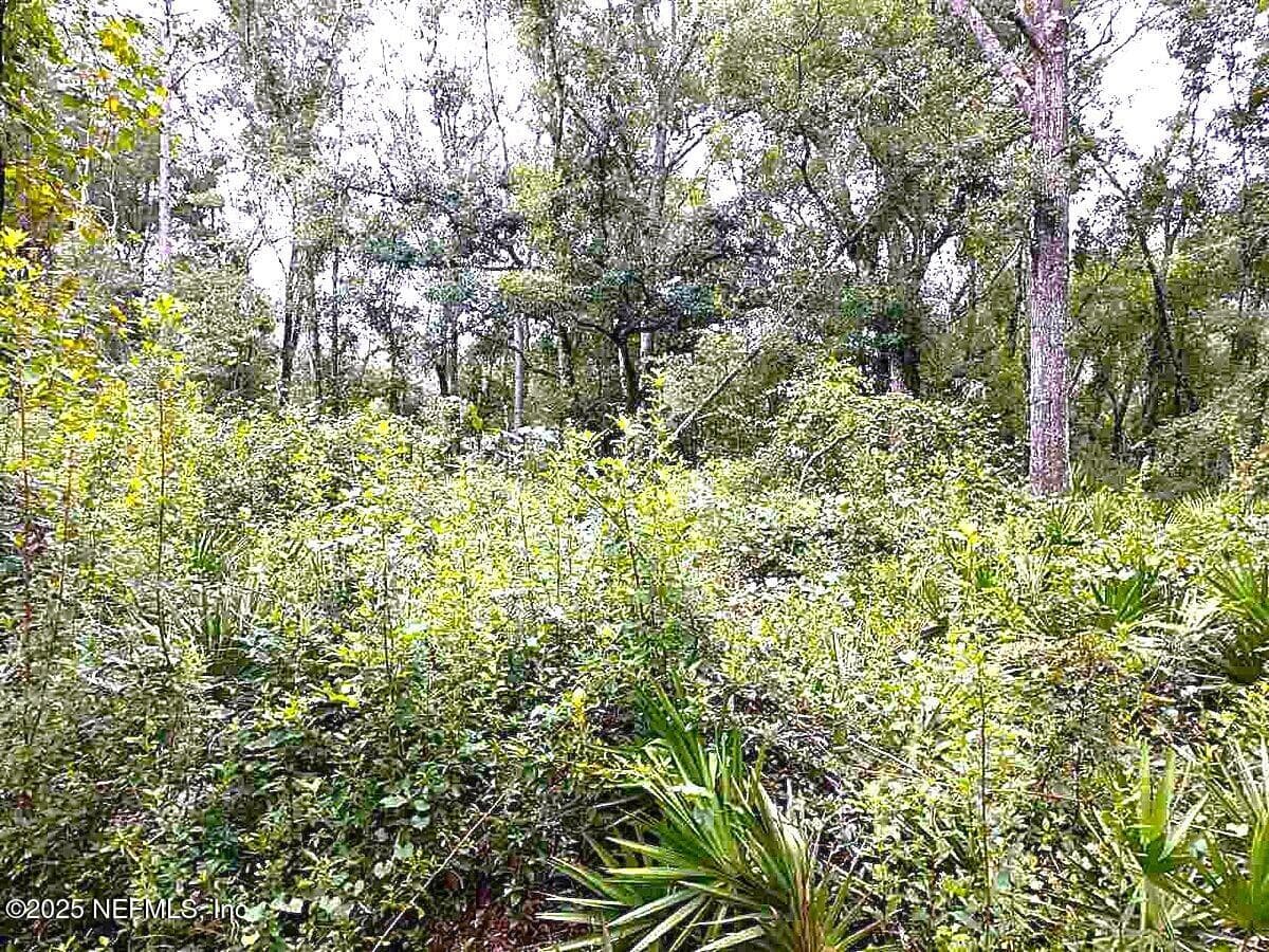 Photo 10 of 799 ROBERTS AMAN Road, Perry, FL 32347