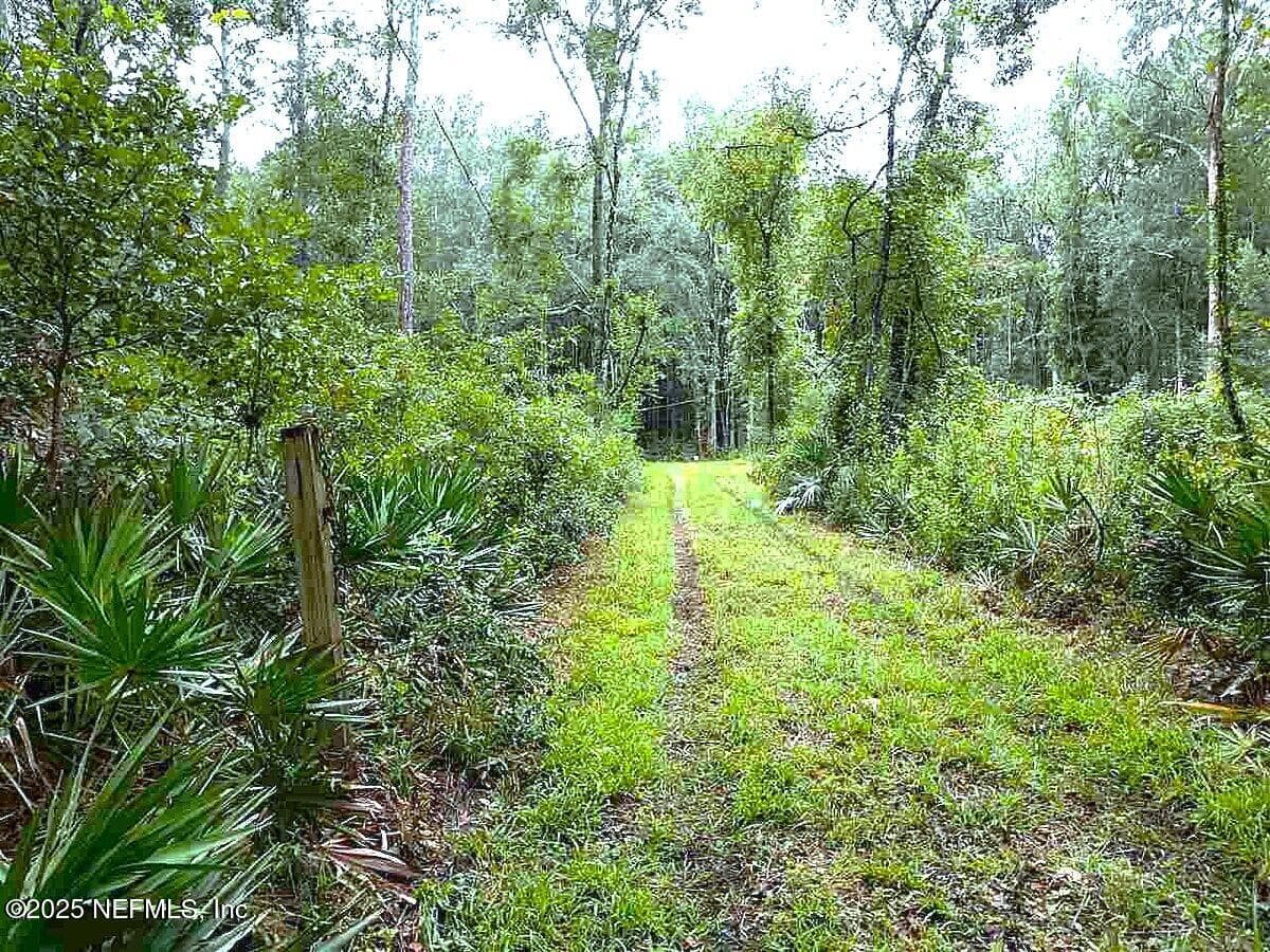 Photo 12 of 799 ROBERTS AMAN Road, Perry, FL 32347