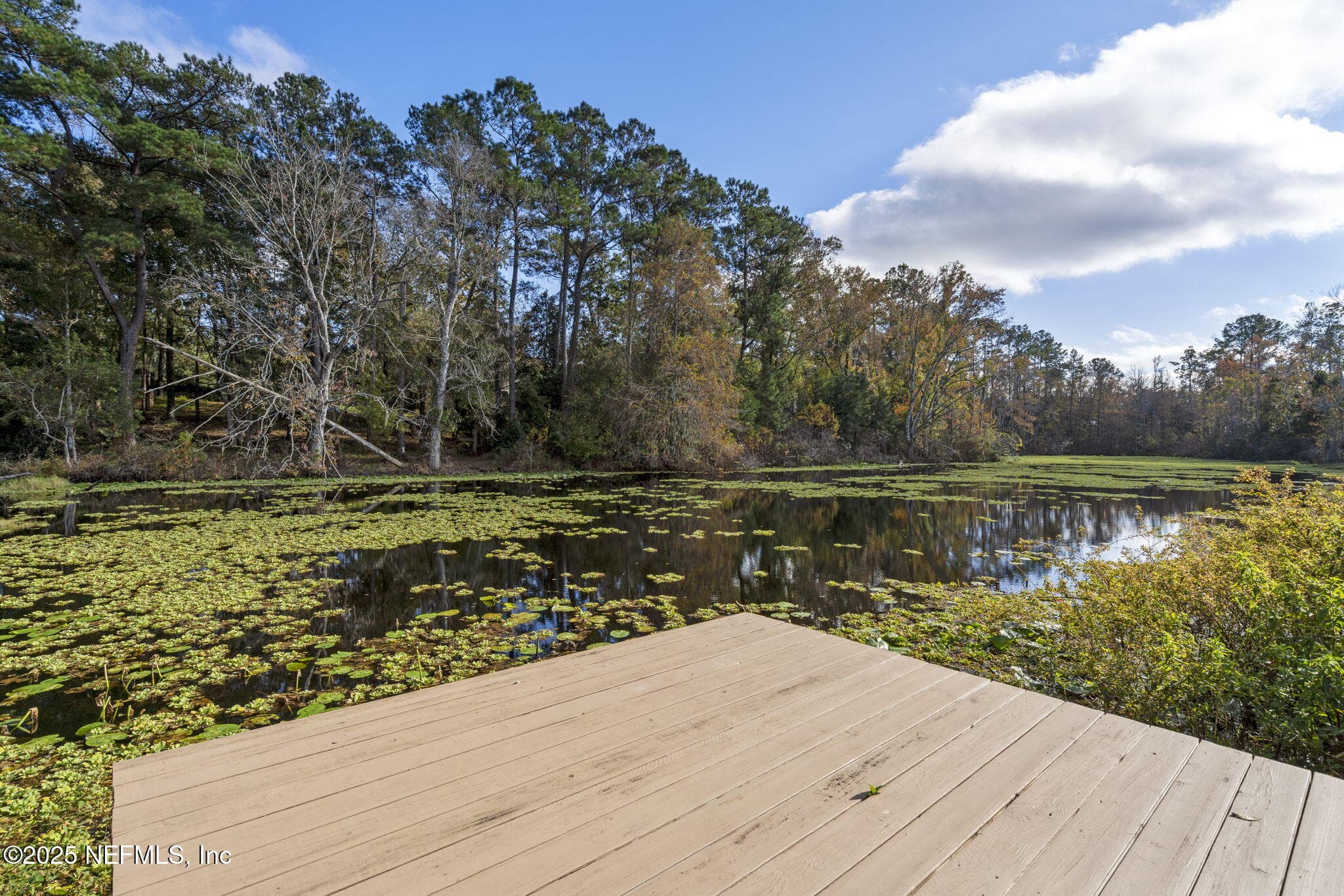 Photo 50 of 2134 FLINTLOCK Court, Green Cove Springs, FL 32043