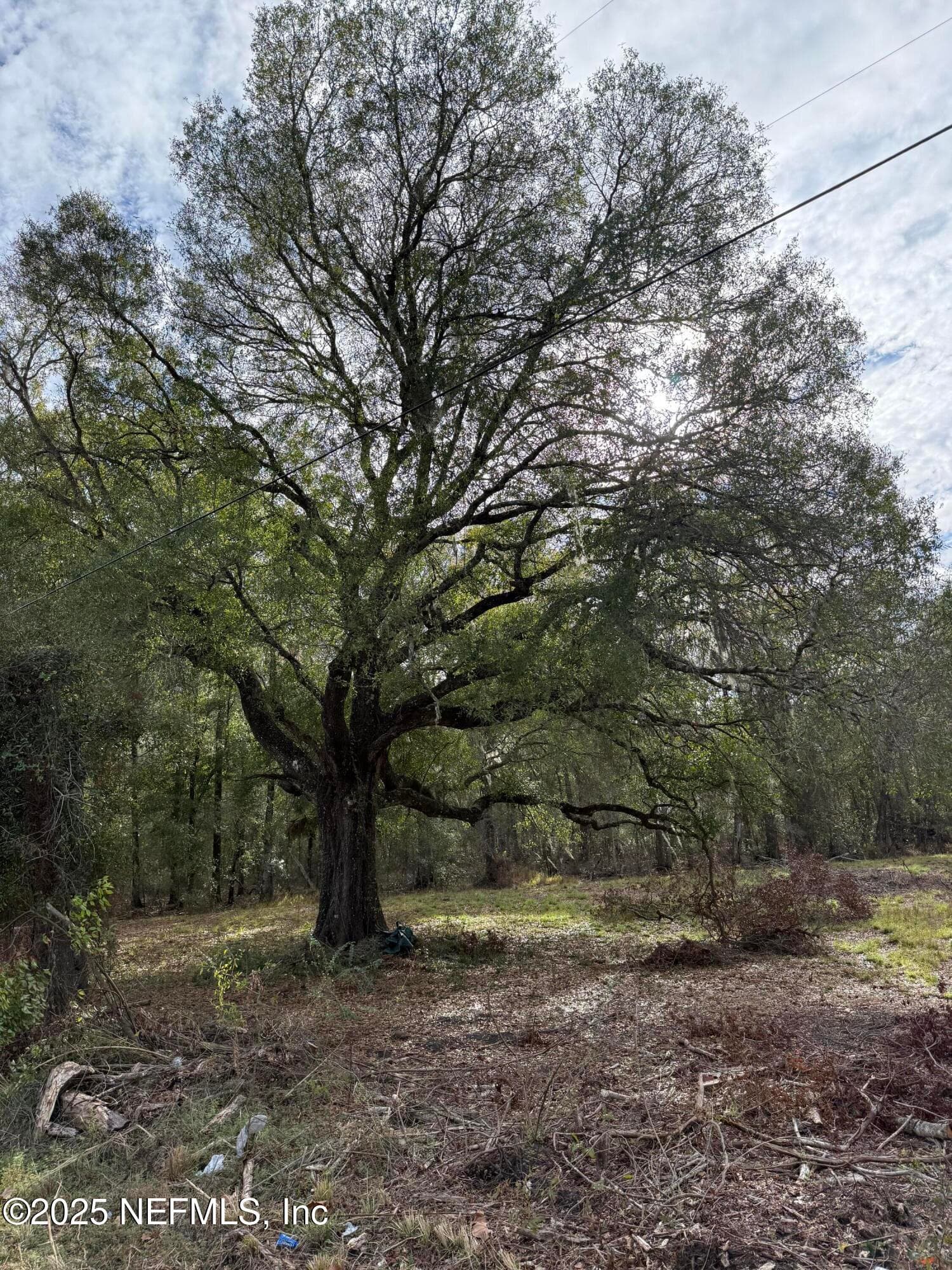 19410 SR 16, Starke, FL 32091