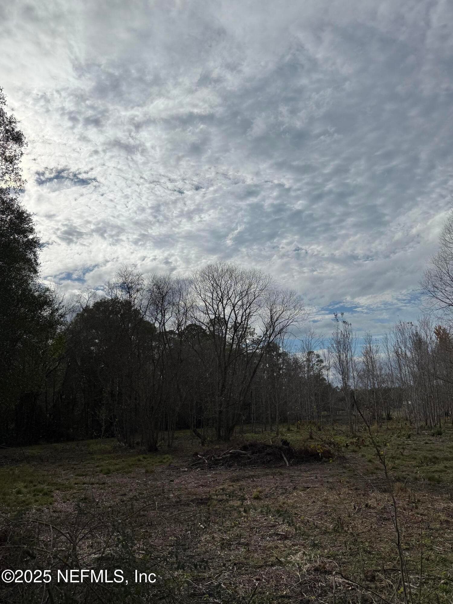 Photo 3 of 19410 SR 16, Starke, FL 32091