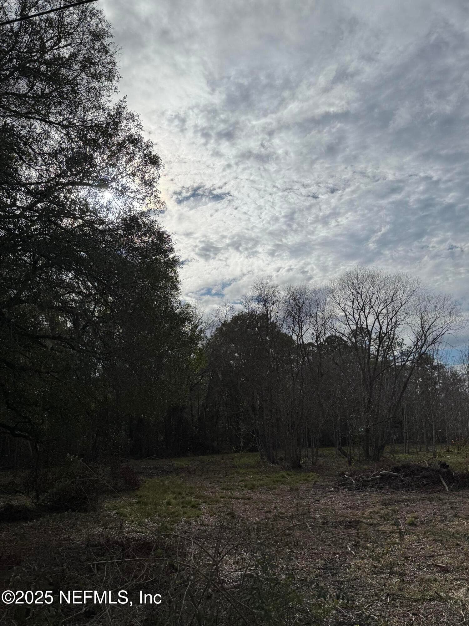 Photo 4 of 19410 SR 16, Starke, FL 32091