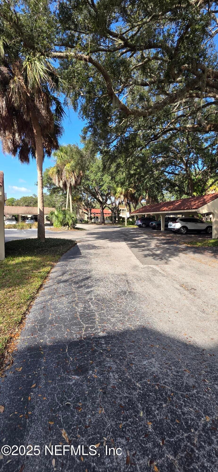 Photo 19 of 1820 SEVILLA Boulevard 110, Atlantic Beach, FL 32233