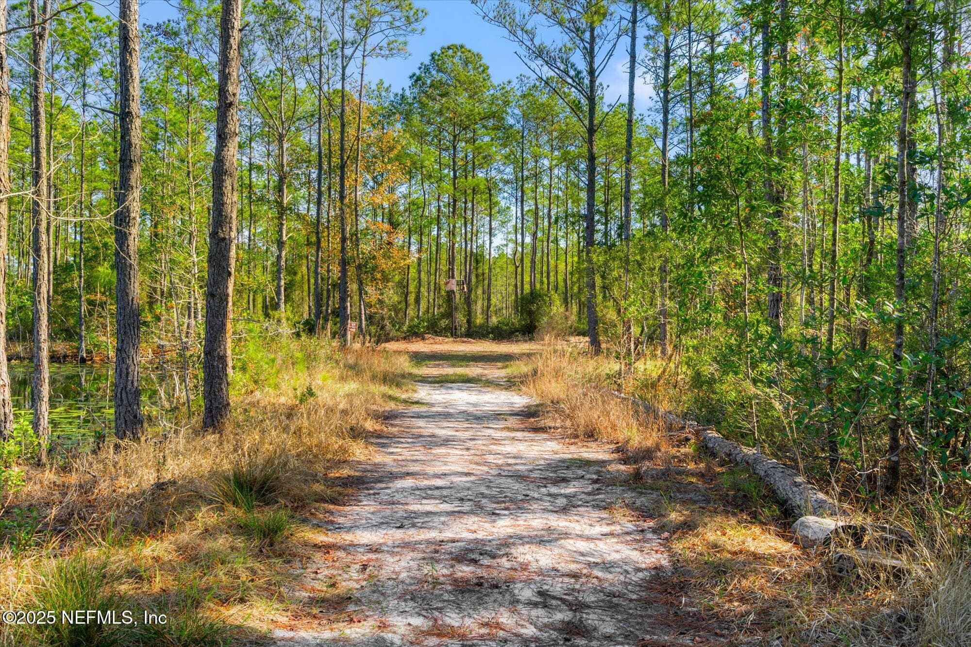 Photo 4 of 191 COUNTY LANDFILL Road, Palatka, FL 32177