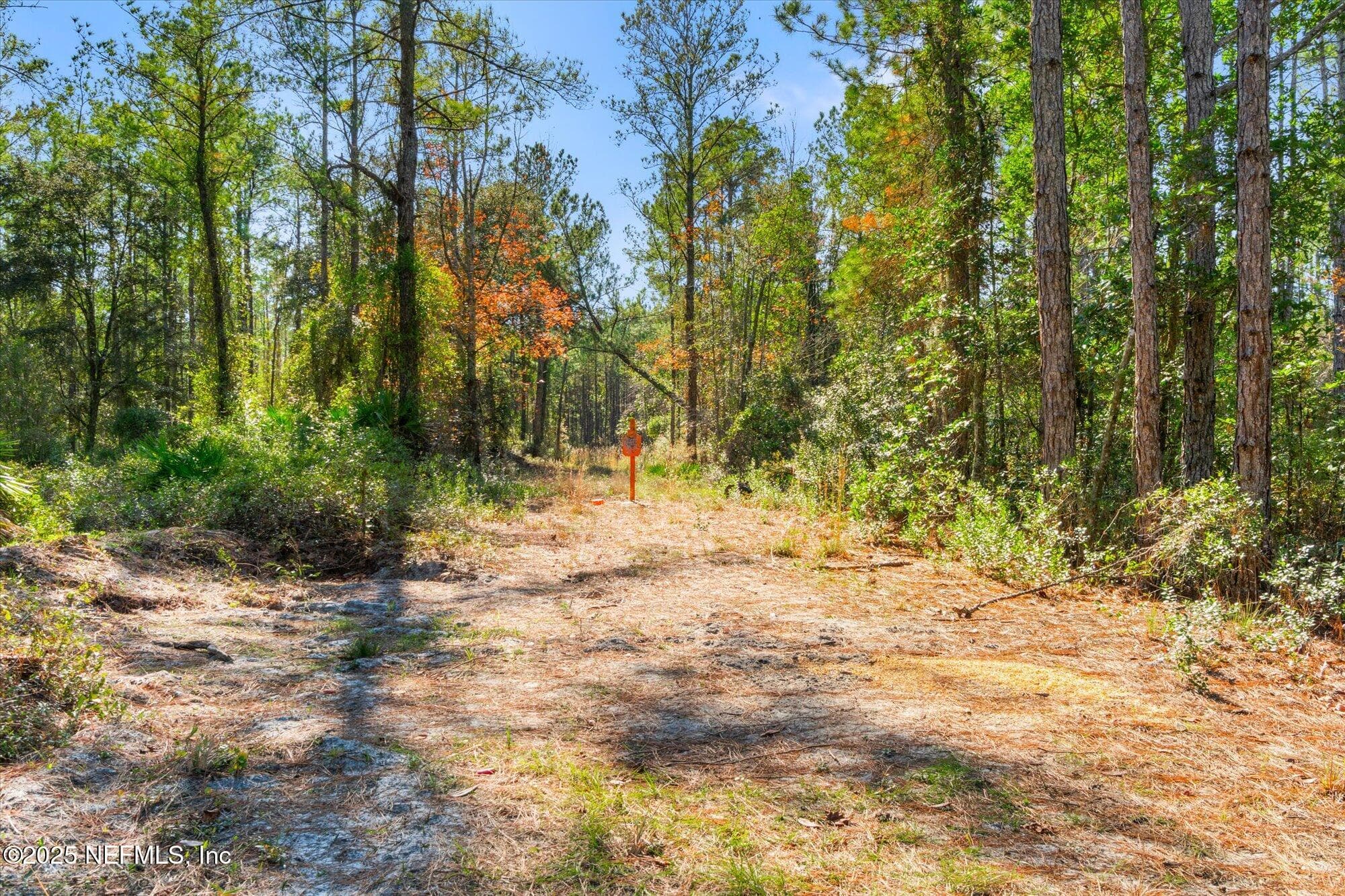 Photo 21 of 191 COUNTY LANDFILL Road, Palatka, FL 32177