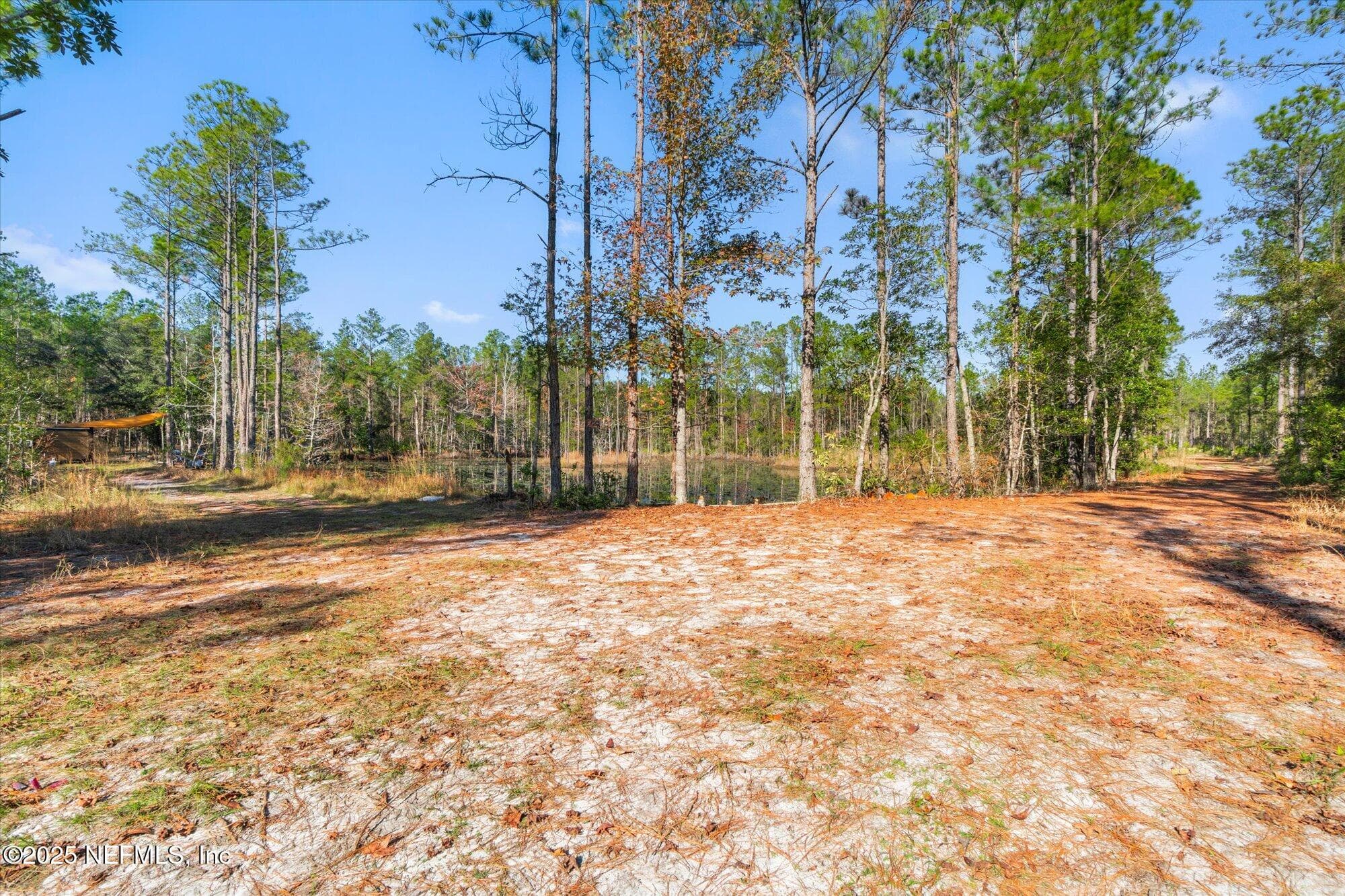 Photo 22 of 191 COUNTY LANDFILL Road, Palatka, FL 32177