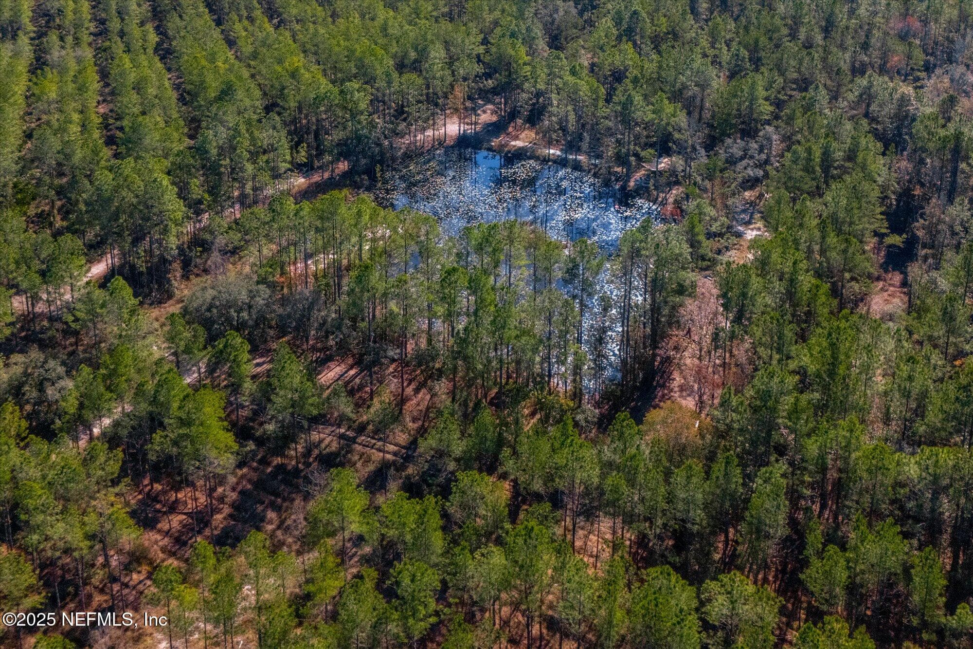 Photo 26 of 191 COUNTY LANDFILL Road, Palatka, FL 32177
