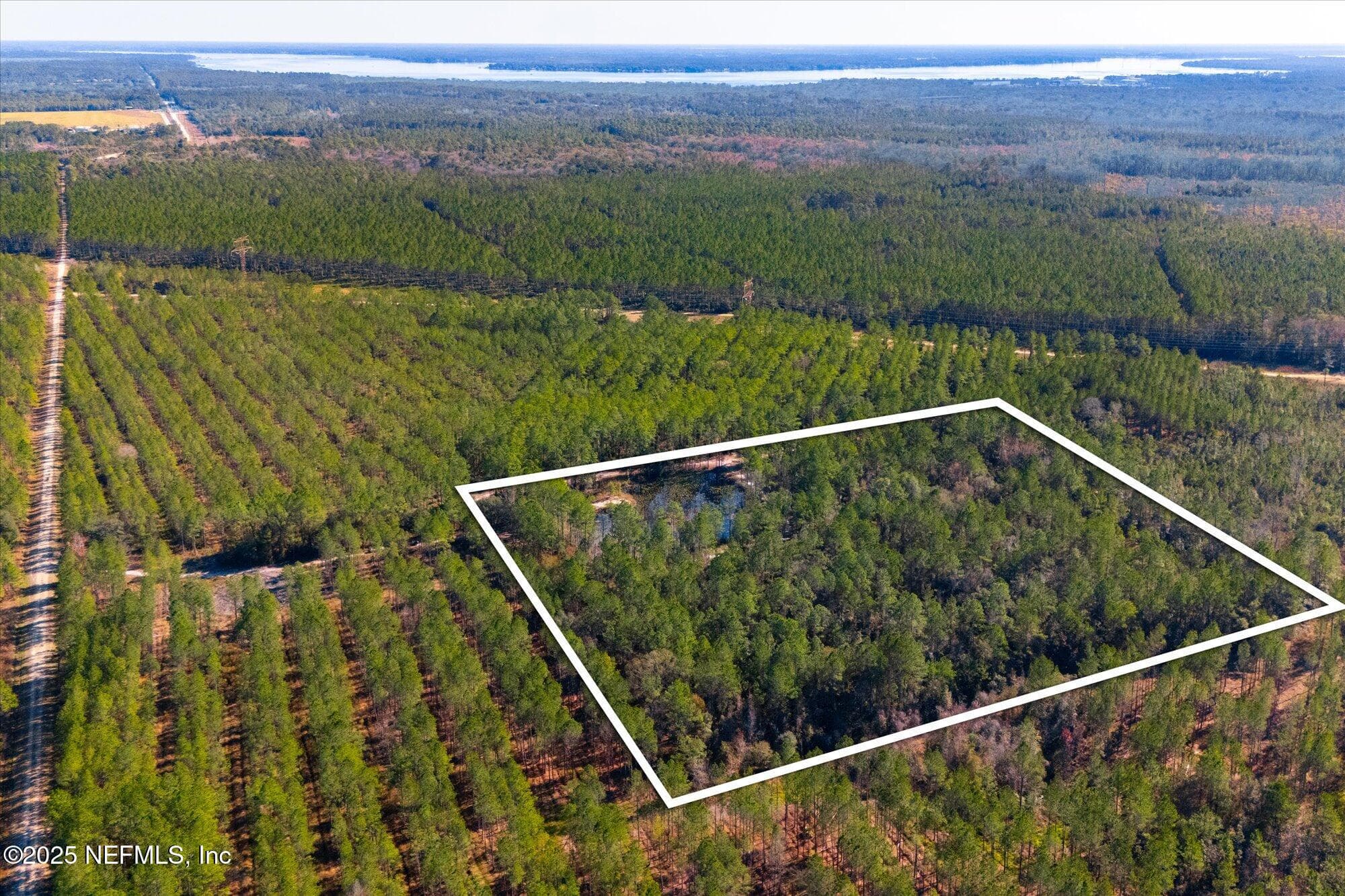Photo 32 of 191 COUNTY LANDFILL Road, Palatka, FL 32177