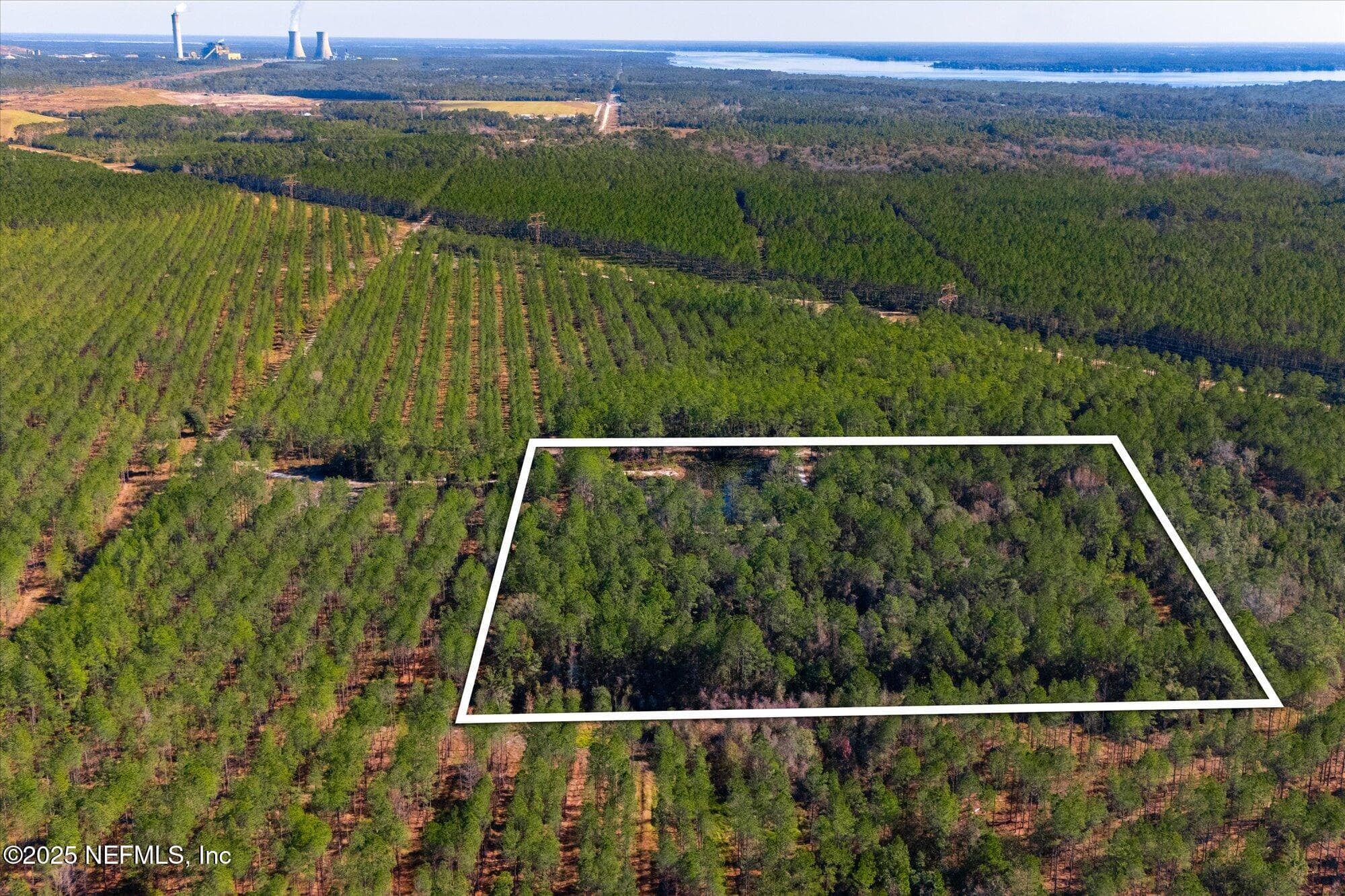 Photo 33 of 191 COUNTY LANDFILL Road, Palatka, FL 32177